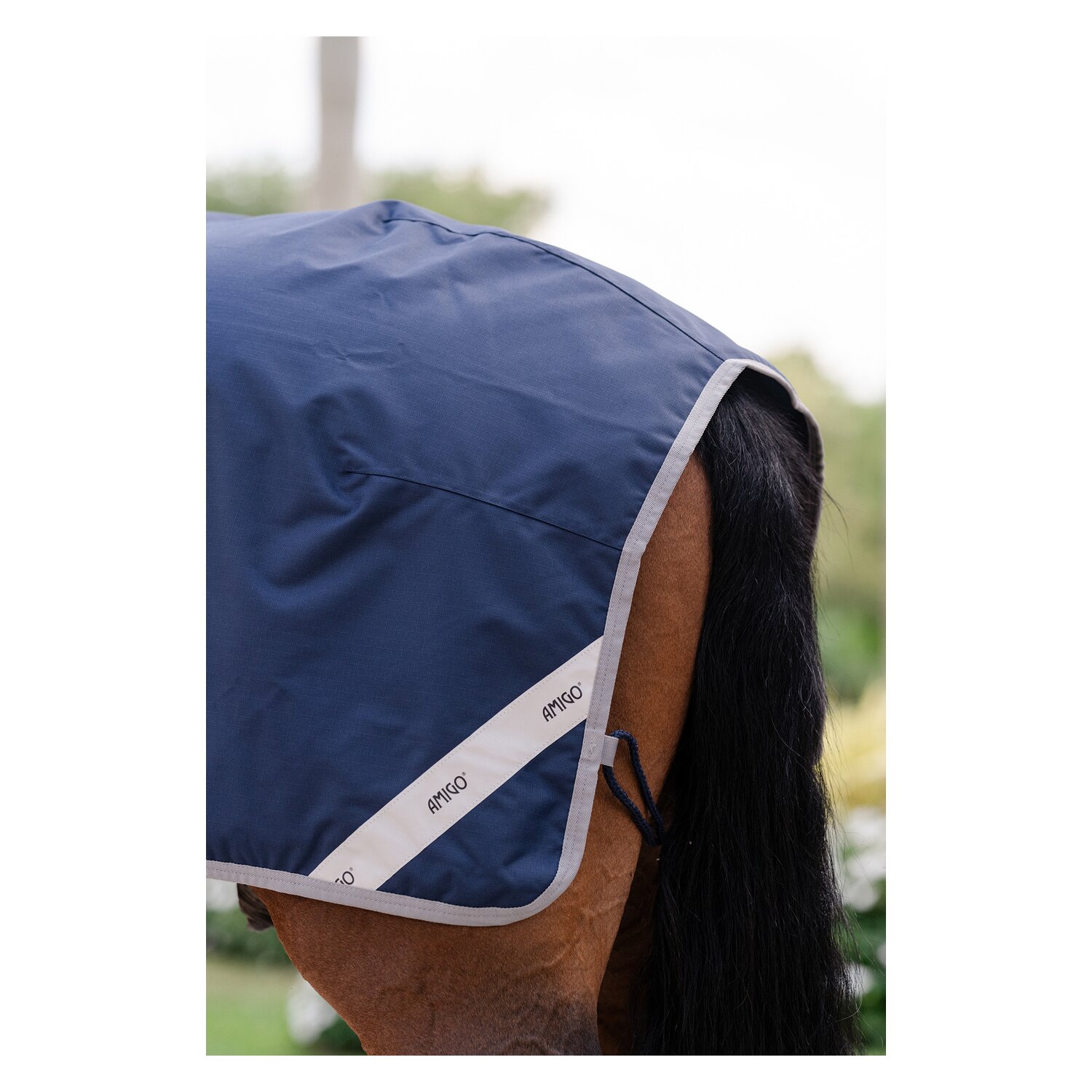 HORSEWARE Ausreitdecke AMIGO Excercise Sheet – Ansicht 5