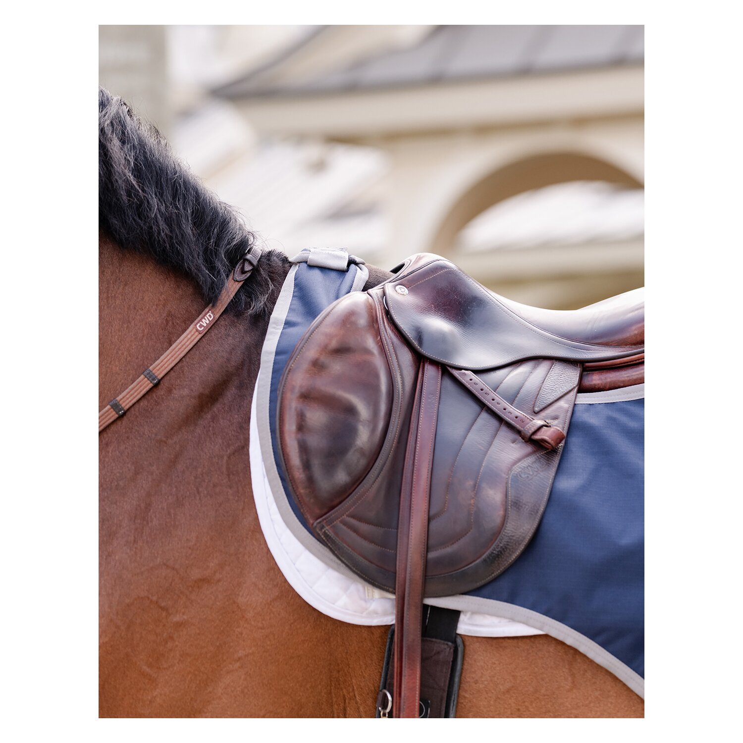 HORSEWARE Ausreitdecke AMIGO Excercise Sheet – Ansicht 6