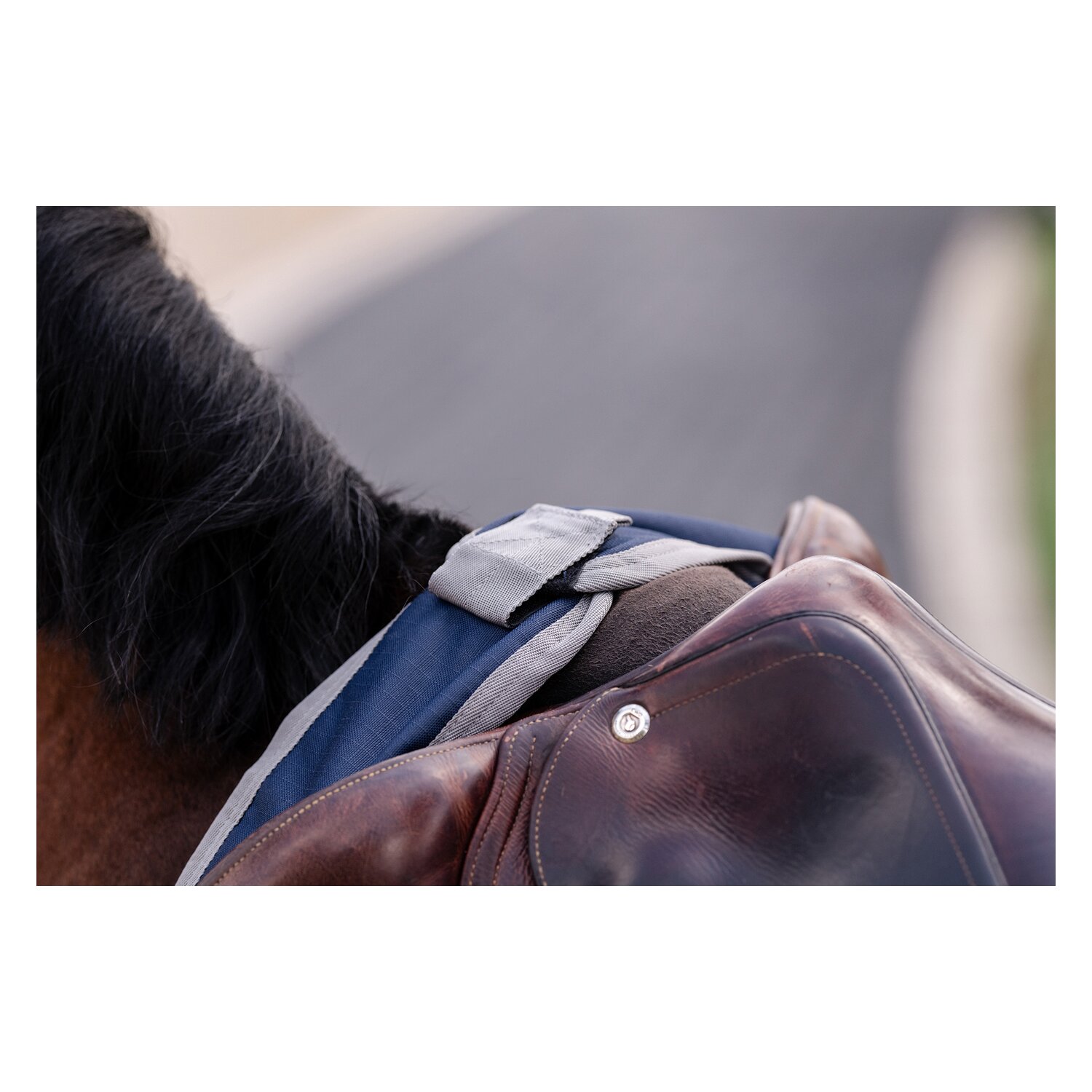 HORSEWARE Ausreitdecke AMIGO Excercise Sheet – Ansicht 7