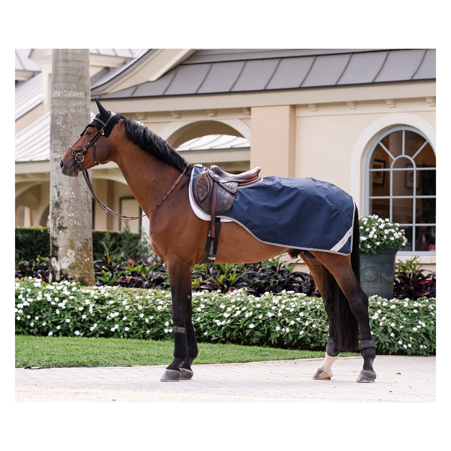 HORSEWARE Ausreitdecke AMIGO Excercise Sheet – Ansicht 1