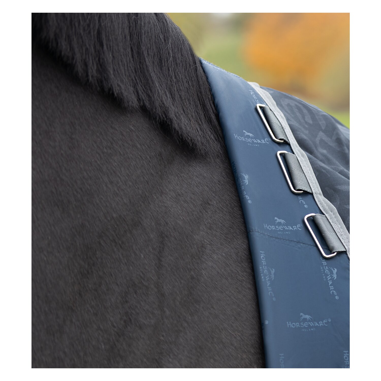 HORSEWARE Outdoordecke AMIGO Hero Ripstop 100g – Ansicht 2