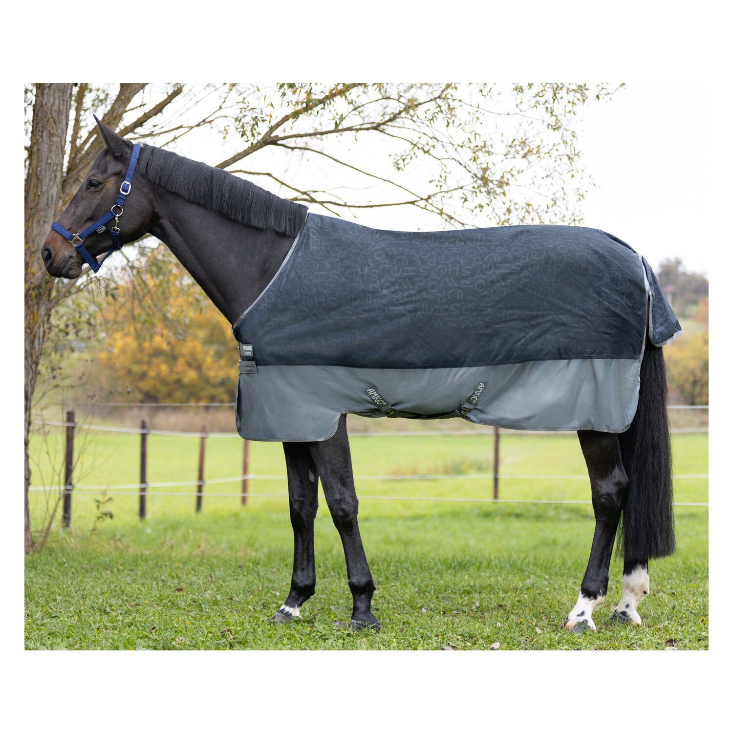 HORSEWARE Outdoordecke AMIGO Hero Ripstop 100g – Ansicht 1