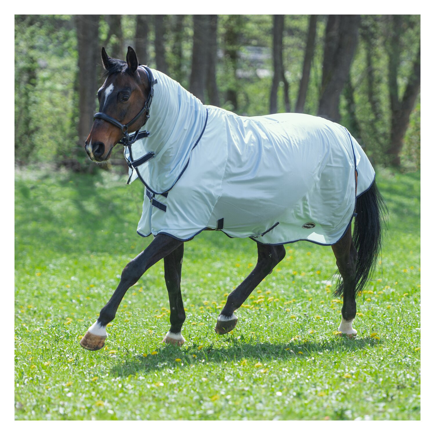 Horse-friends Fliegendecke Cali – Ansicht 2