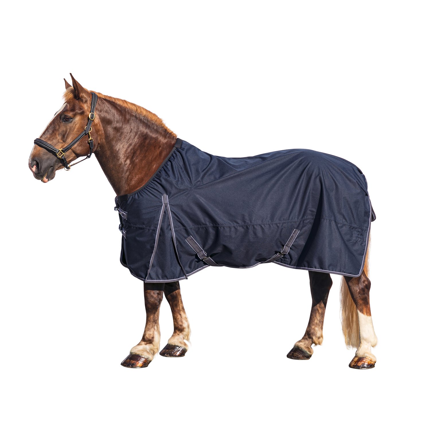 IRISh INNOVATION Leeds XL – Ansicht 1