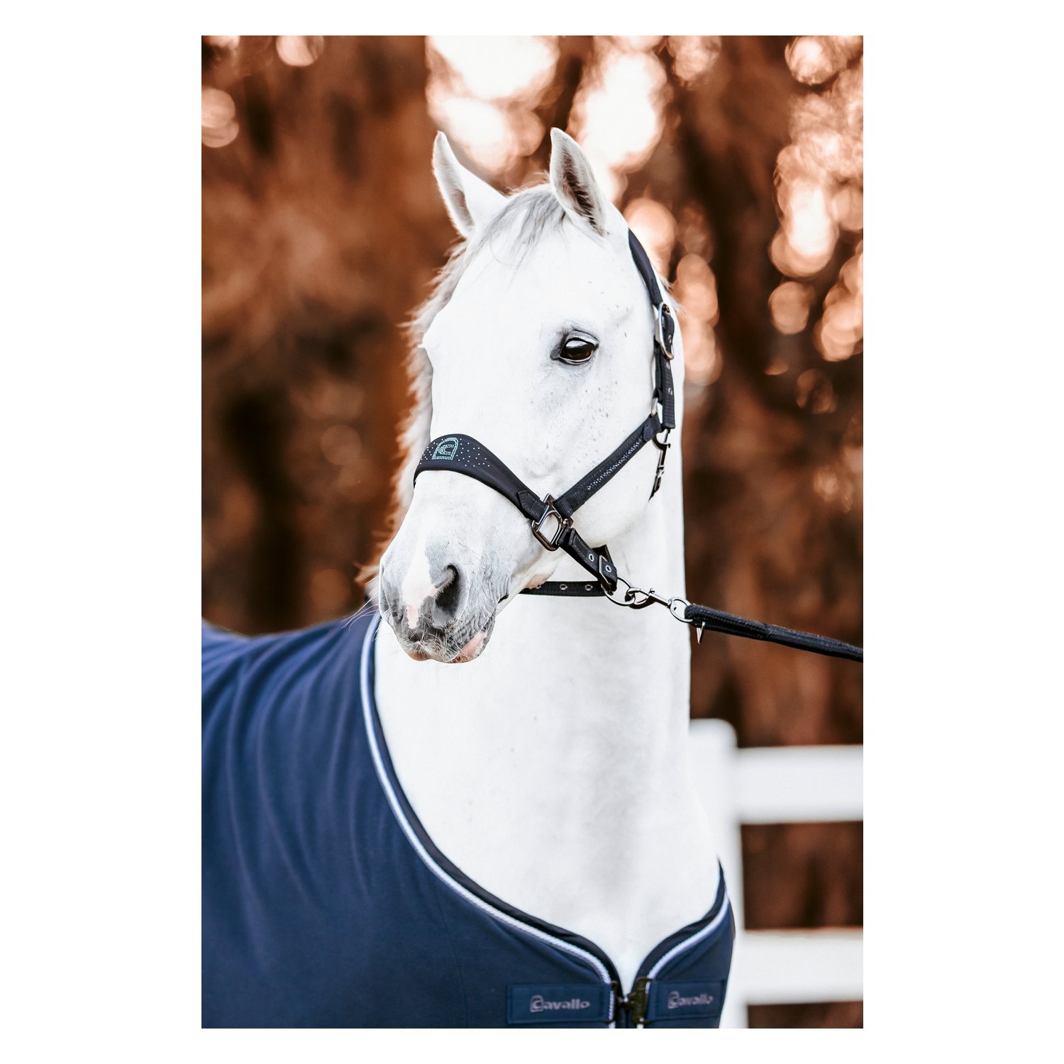 Cavallo Abschwitzdecke CAVALHEIDA – Ansicht 3