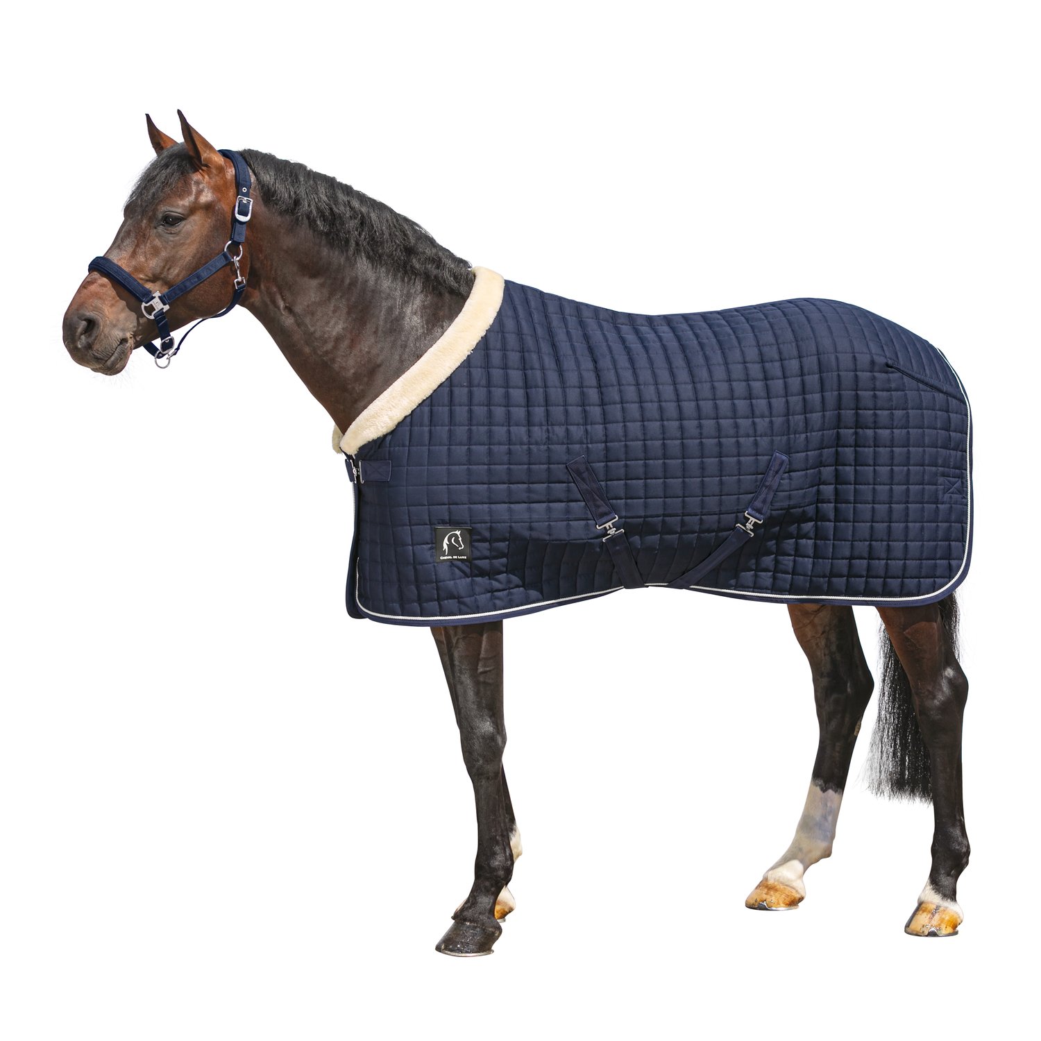 Cheval de Luxe Stalldecke Nantes – Ansicht 1