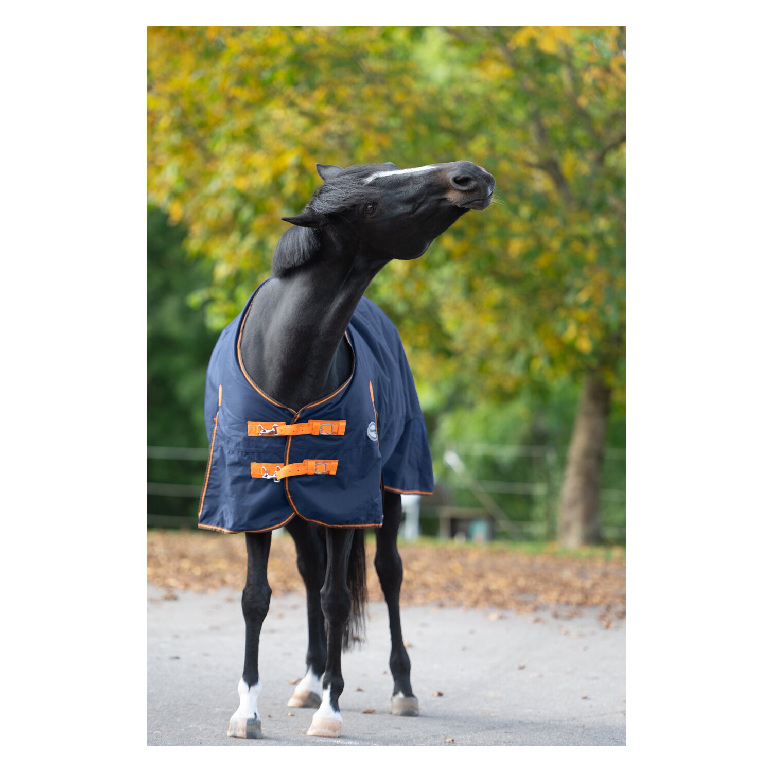 Horse-friends Outdoordecke Hamburg 50 g – Ansicht 2