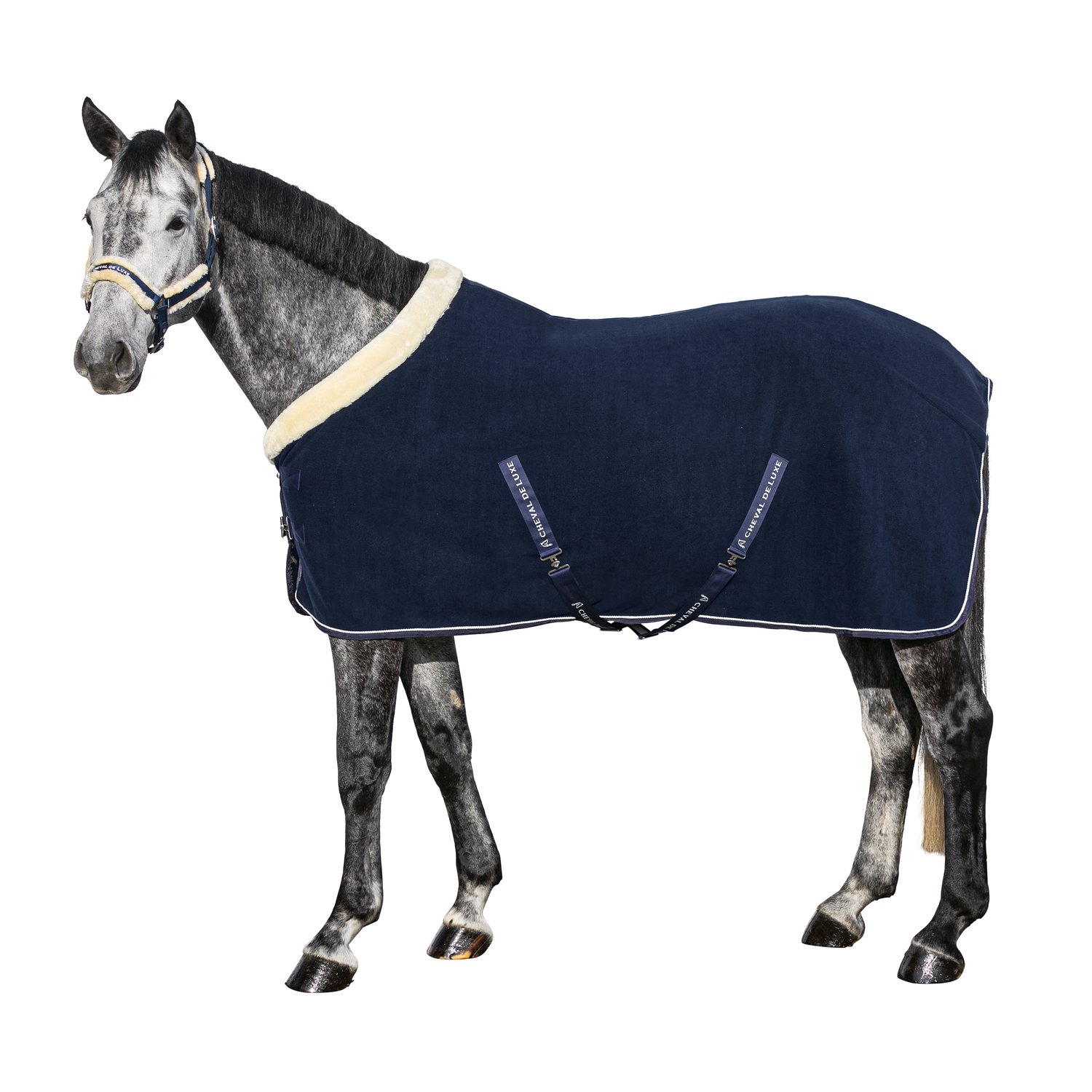 Cheval de Luxe Abschwitzdecke Nantes – Ansicht 1