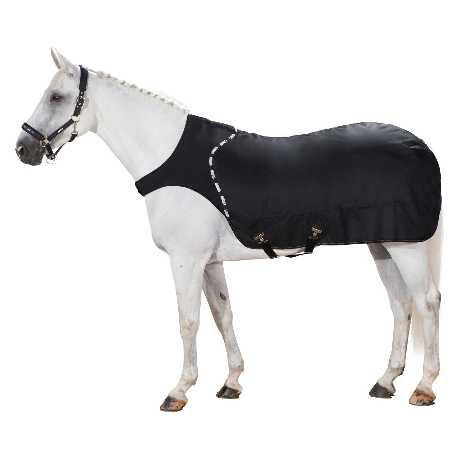 ESKADRON Führmaschinendecke Delta &ndash; Ansicht 1