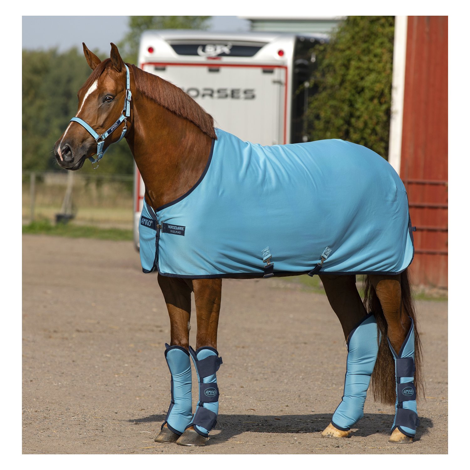 HORSEWARE Abschwitzdecke AMIGO Jersey Cooler – Ansicht 1