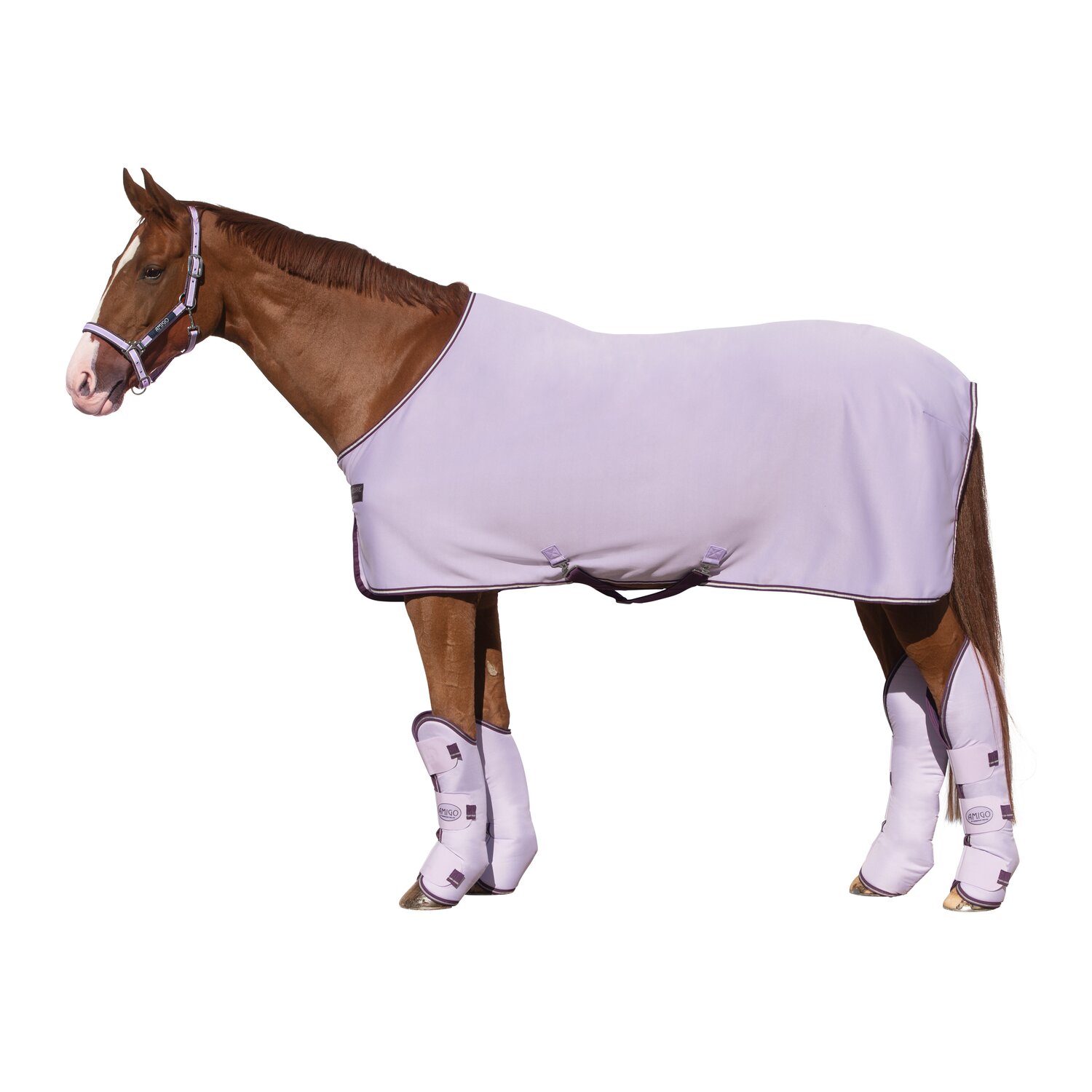 HORSEWARE Abschwitzdecke AMIGO Jersey Cooler – Ansicht 2