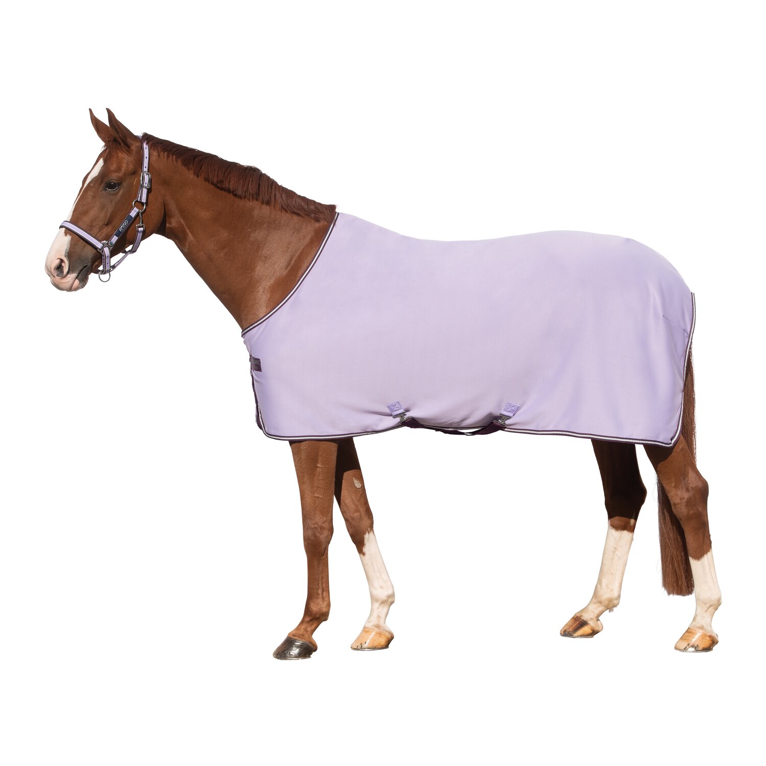 HORSEWARE Abschwitzdecke AMIGO Jersey Cooler – Ansicht 1