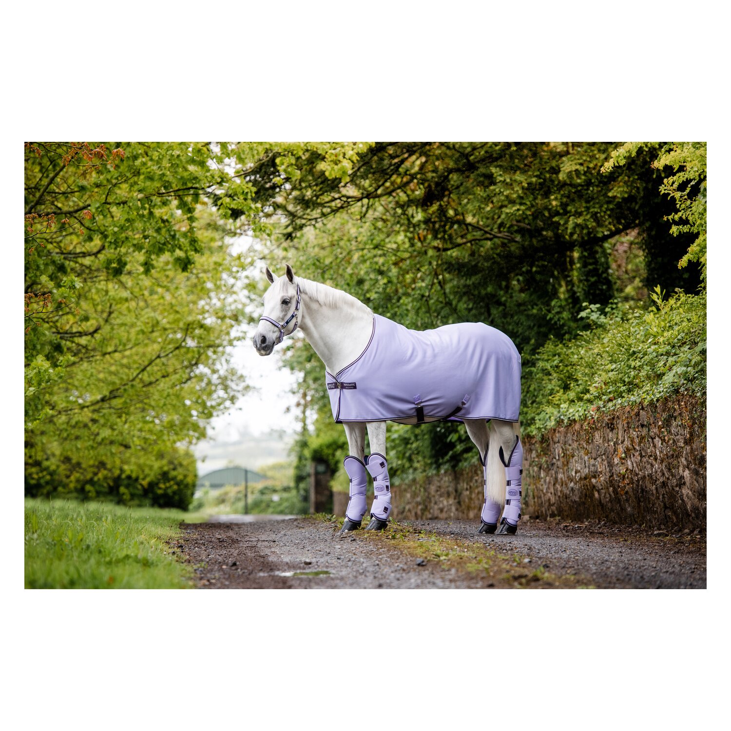 HORSEWARE Abschwitzdecke AMIGO Jersey Cooler – Ansicht 3