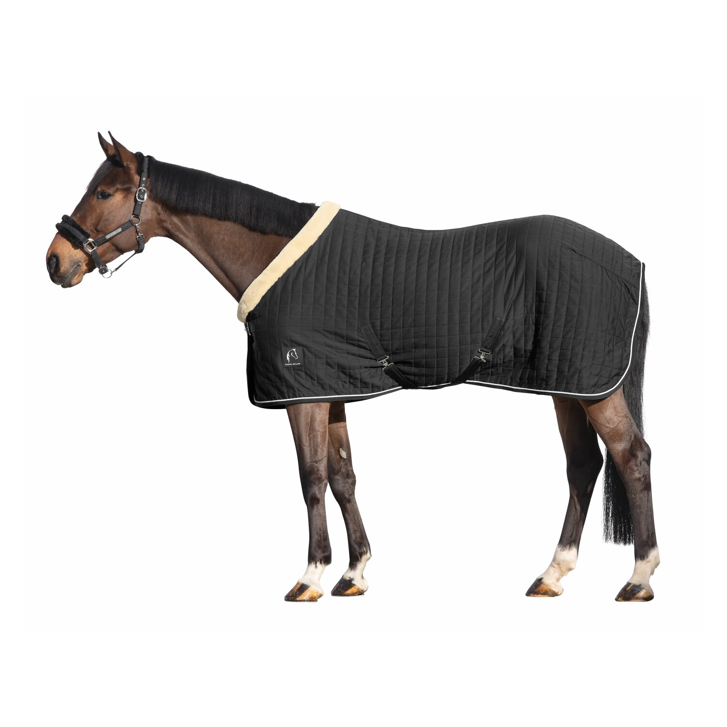 Cheval de Luxe Stalldecke Nantes – Ansicht 2