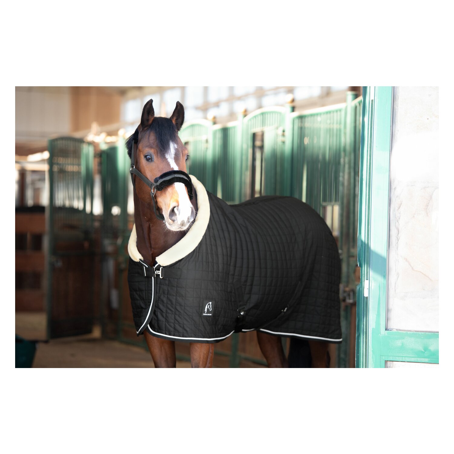 Cheval de Luxe Stalldecke Nantes – Ansicht 1