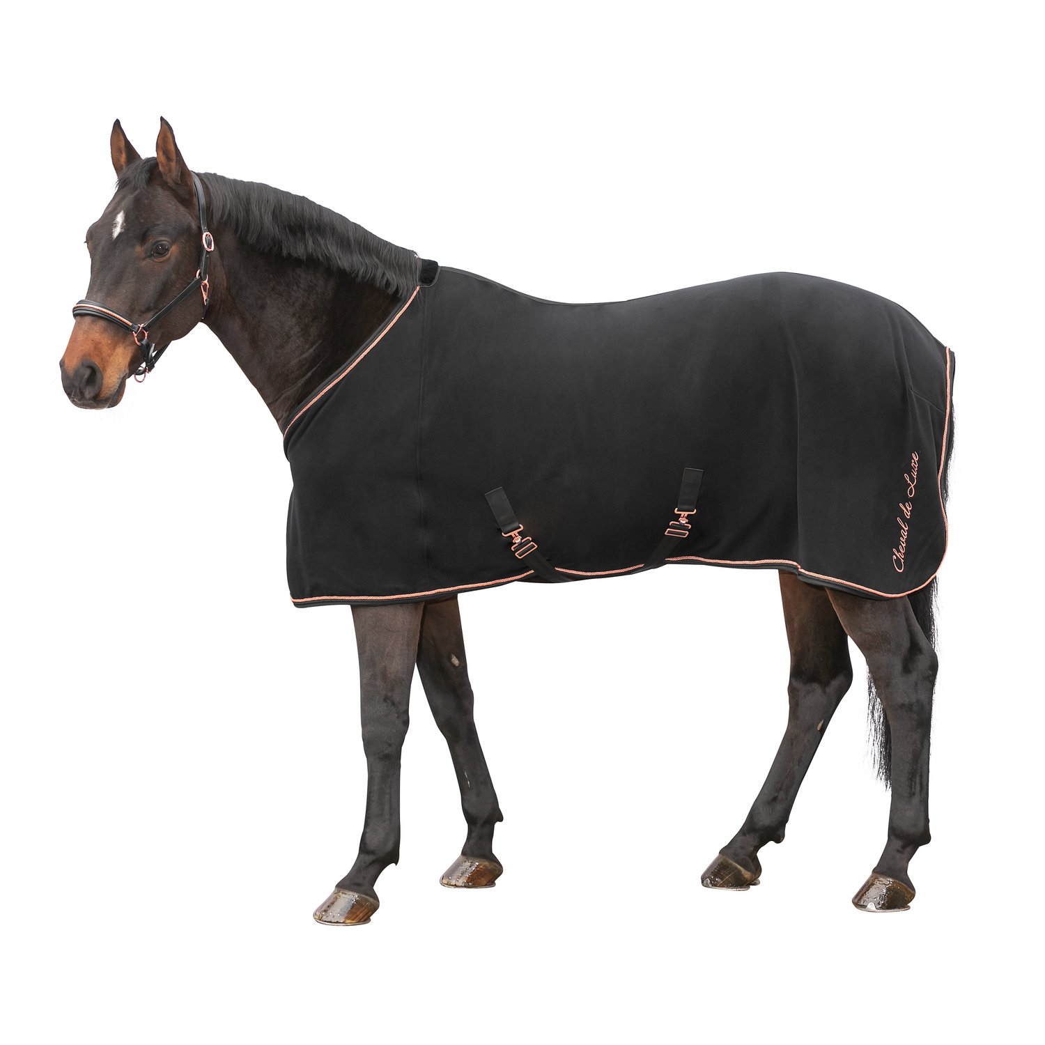 Cheval de Luxe Abschwitzdecke – Ansicht 1