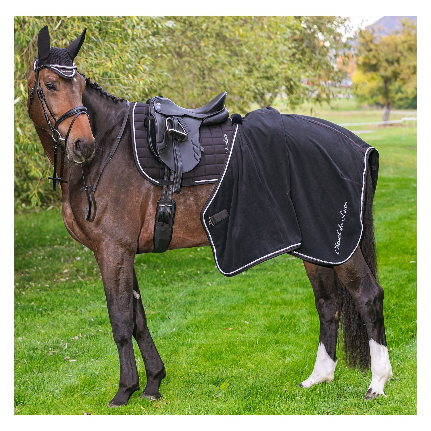 Cheval de Luxe Abschwitzdecke – Ansicht 1