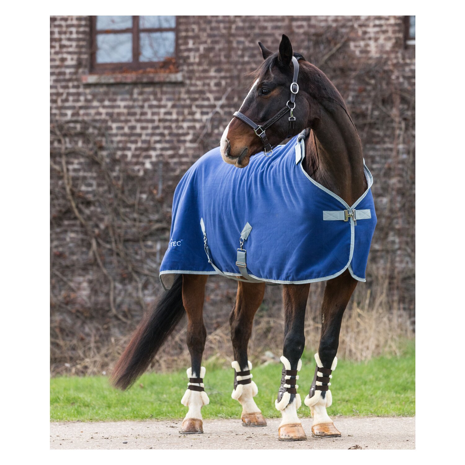 EQUINE-MICROTEC Abschwitzdecke Flanell Touch – Ansicht 2