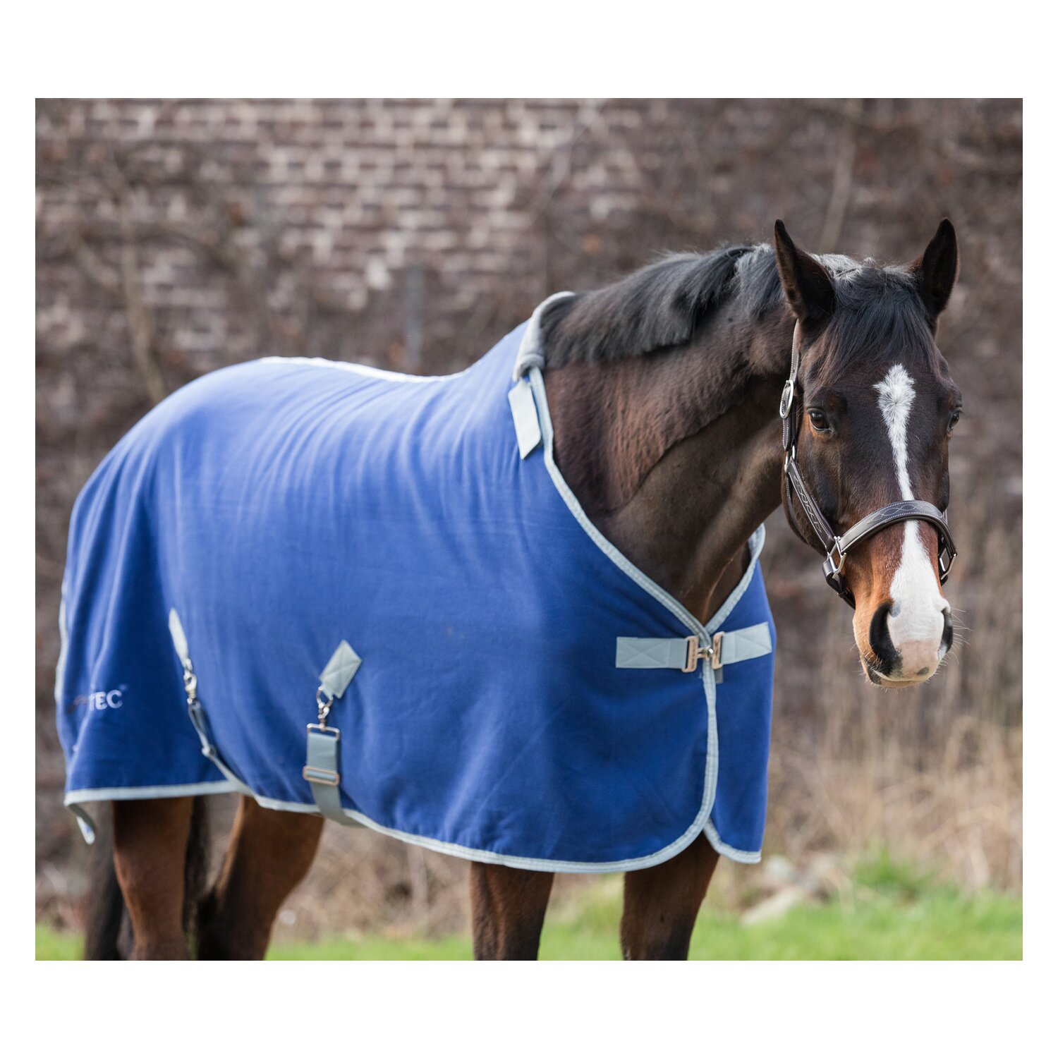 EQUINE-MICROTEC Abschwitzdecke Flanell Touch – Ansicht 3