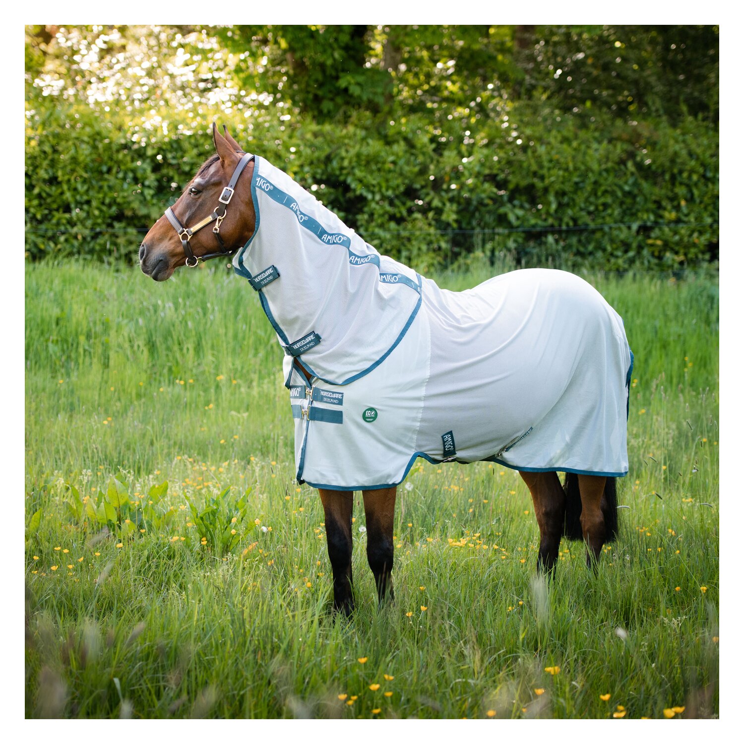 HORSEWARE Fliegendecke AMIGO AmECO Bug Rug – Ansicht 1