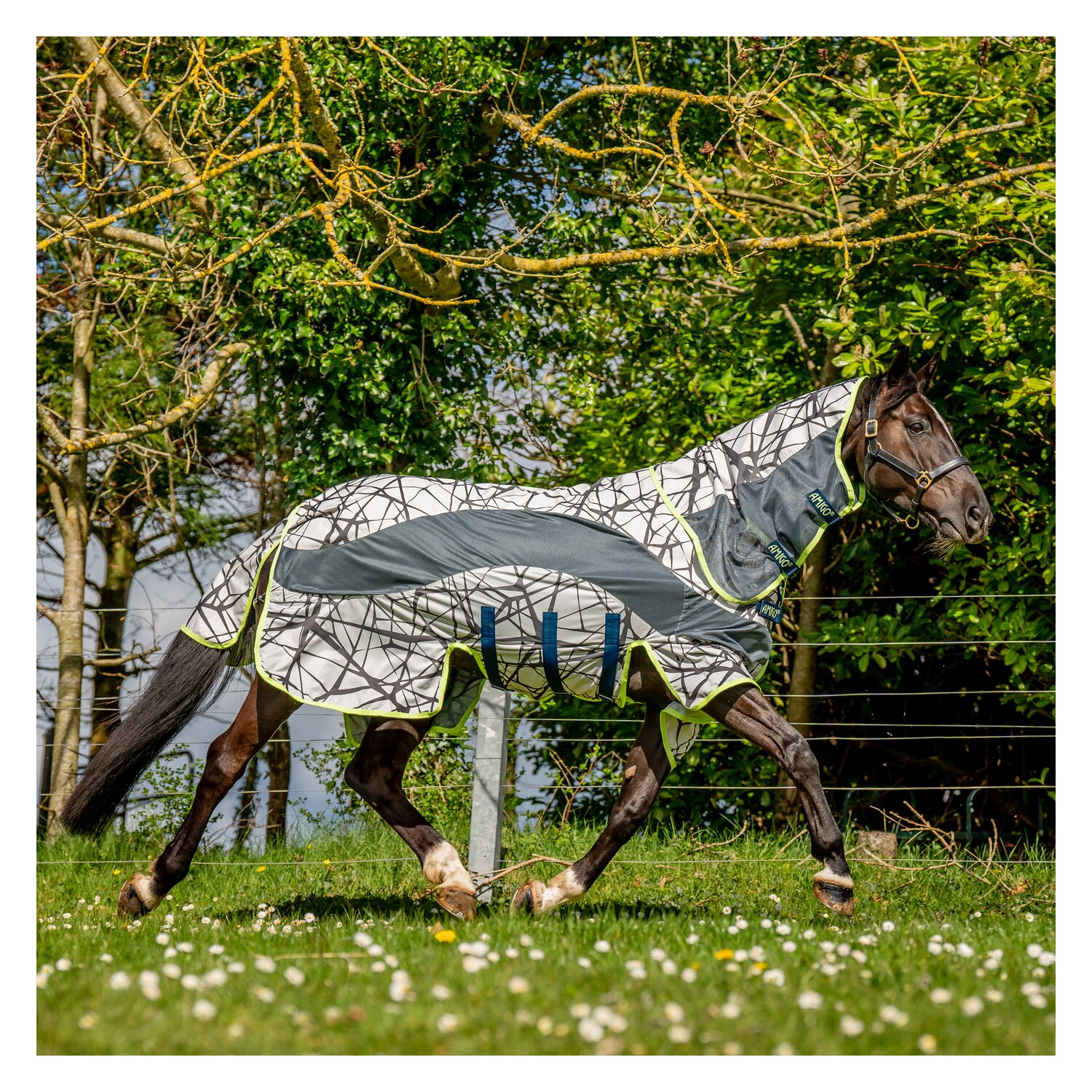 HORSEWARE AMIGO Weide- und Fliegendecke 3-in-1 Camofly &ndash; Ansicht 7