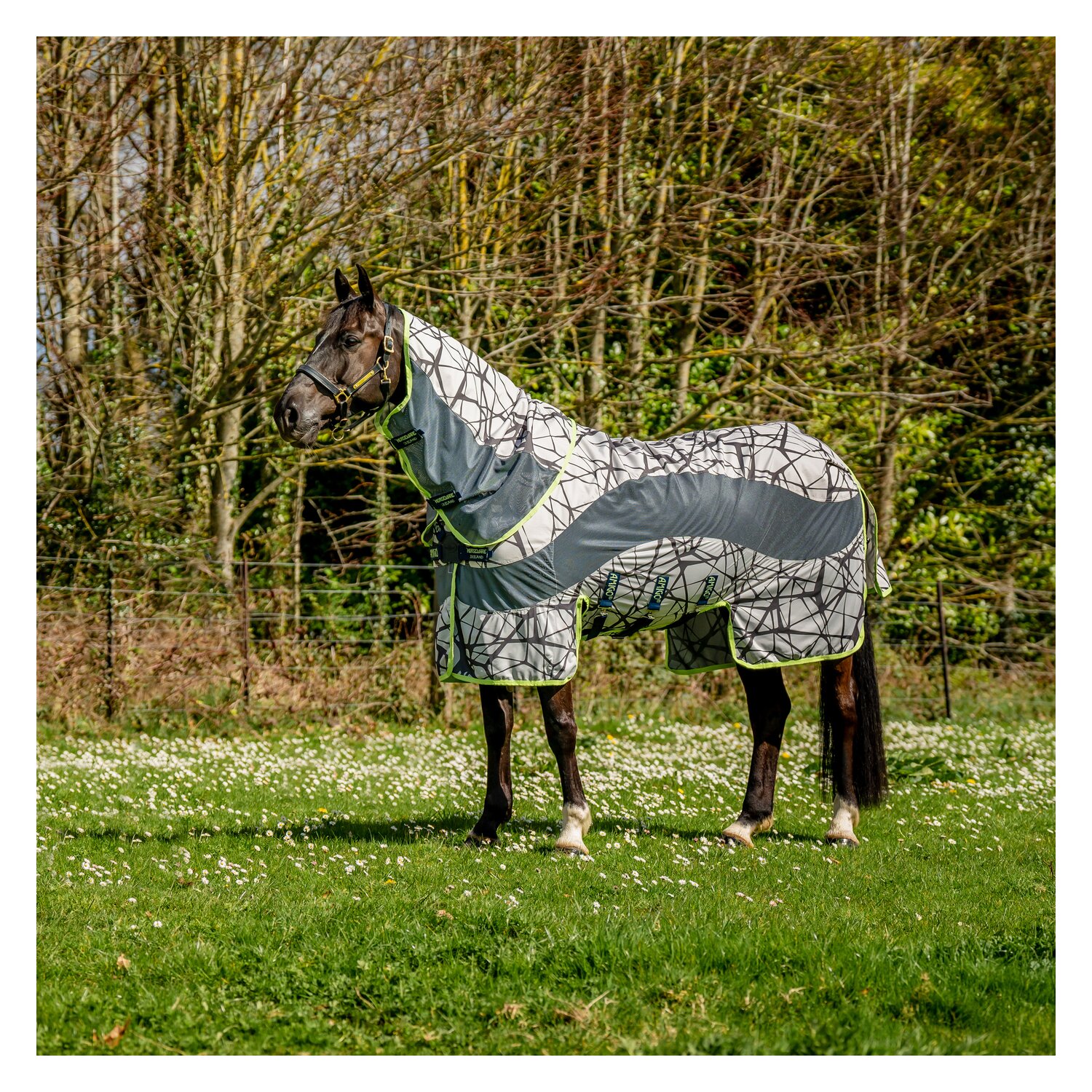 HORSEWARE AMIGO Weide- und Fliegendecke 3-in-1 Camofly &ndash; Ansicht 1