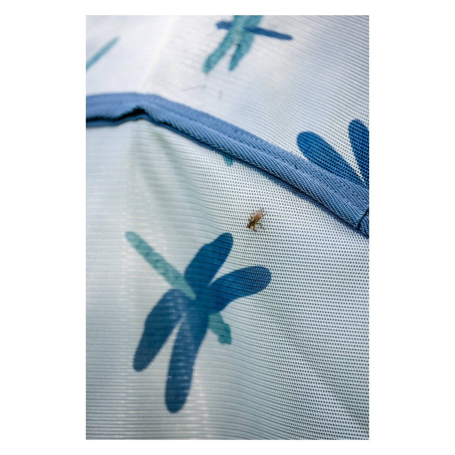 HORSEWARE Fliegendecke AMIGO Bug Rug &ndash; Ansicht 4