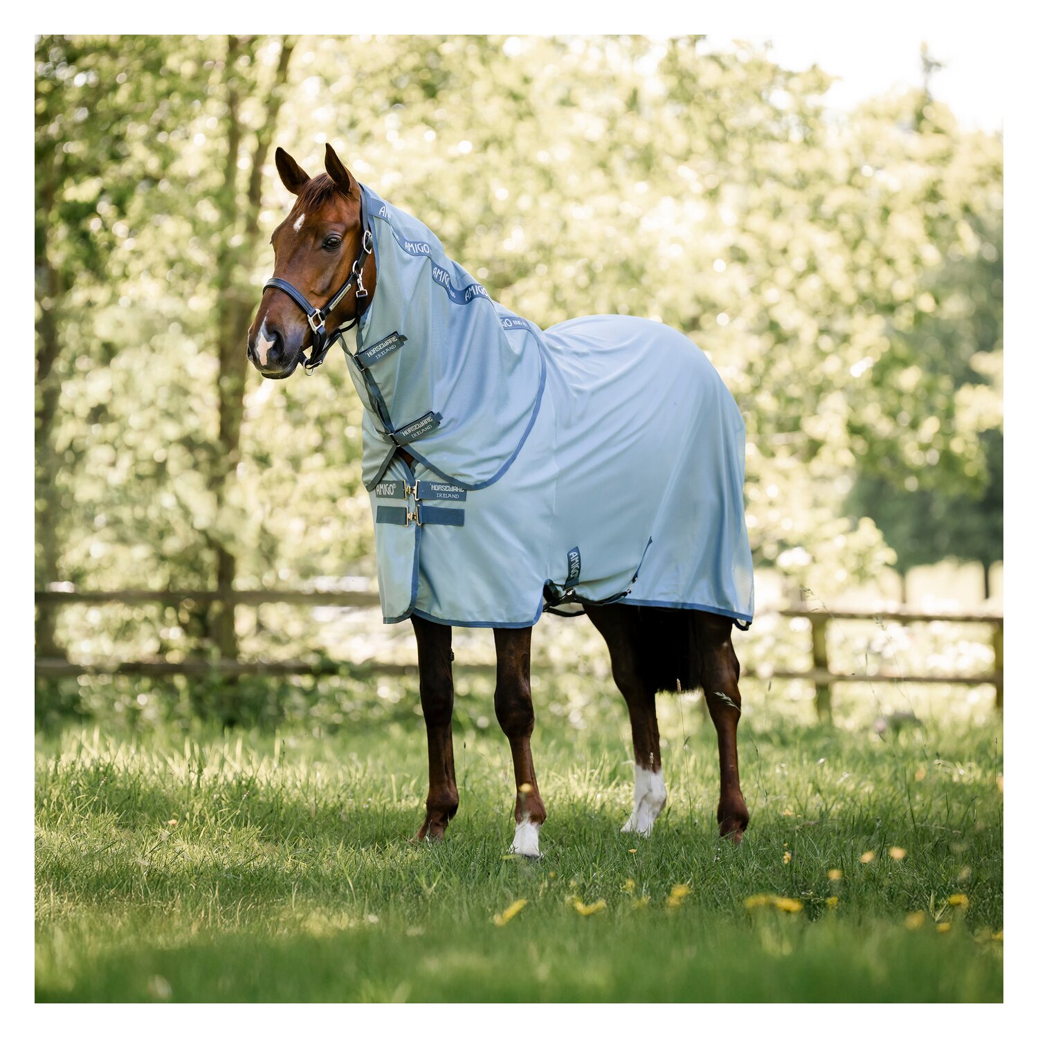 HORSEWARE Fliegendecke AMIGO Bug Rug &ndash; Ansicht 1