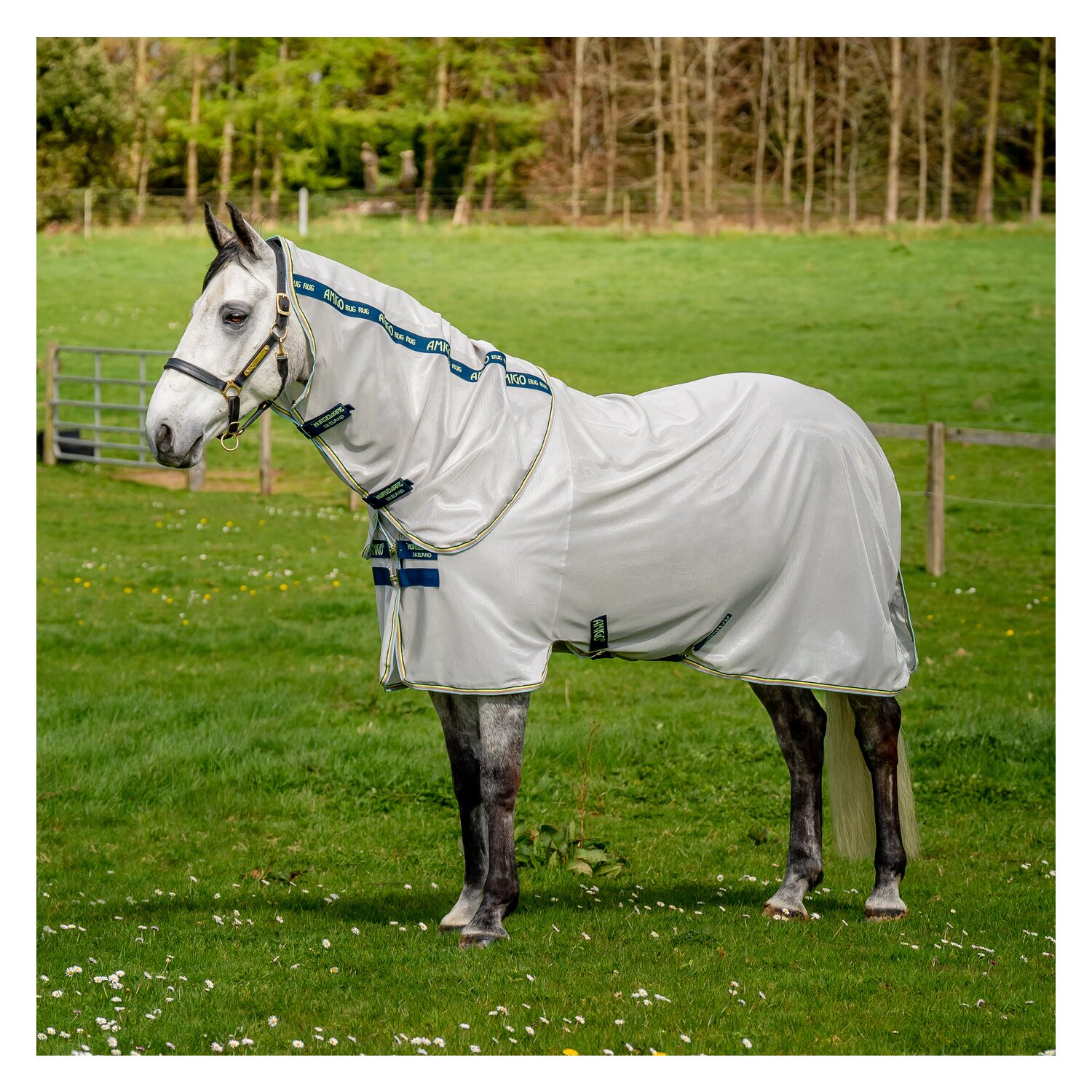 HORSEWARE Fliegendecke AMIGO Bug Rug – Ansicht 1