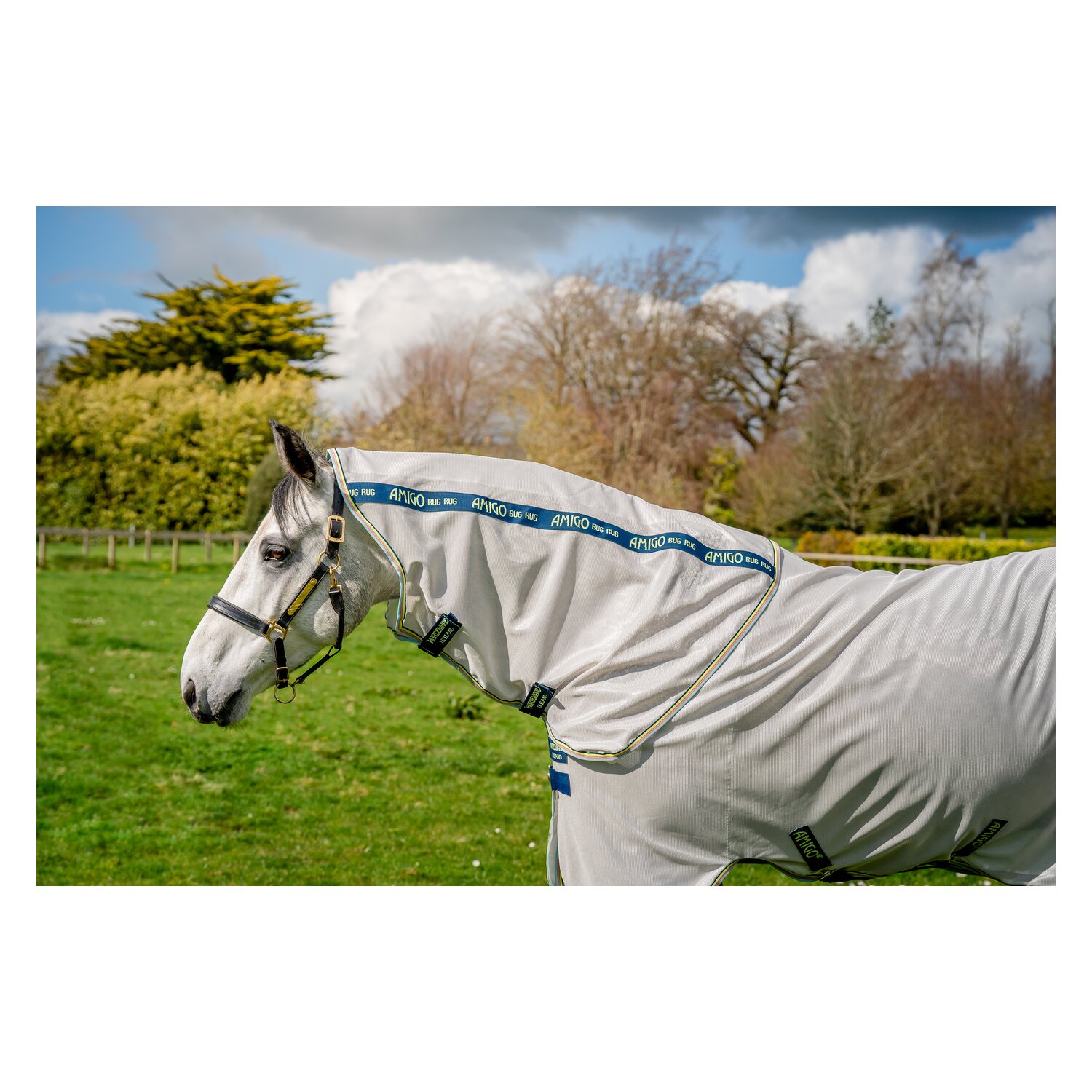 HORSEWARE Fliegendecke AMIGO Bug Rug – Ansicht 2