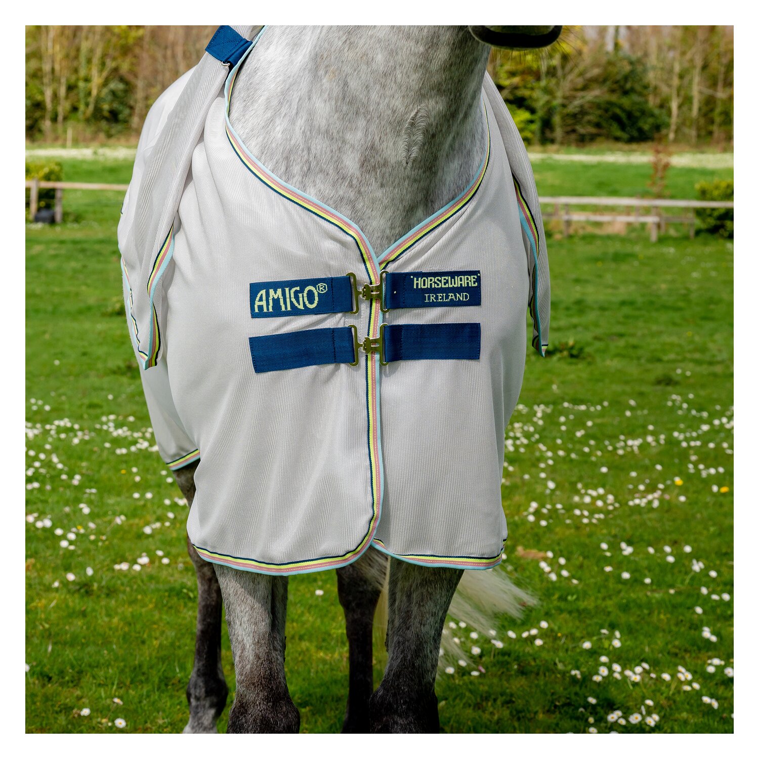 HORSEWARE Fliegendecke AMIGO Bug Rug – Ansicht 4