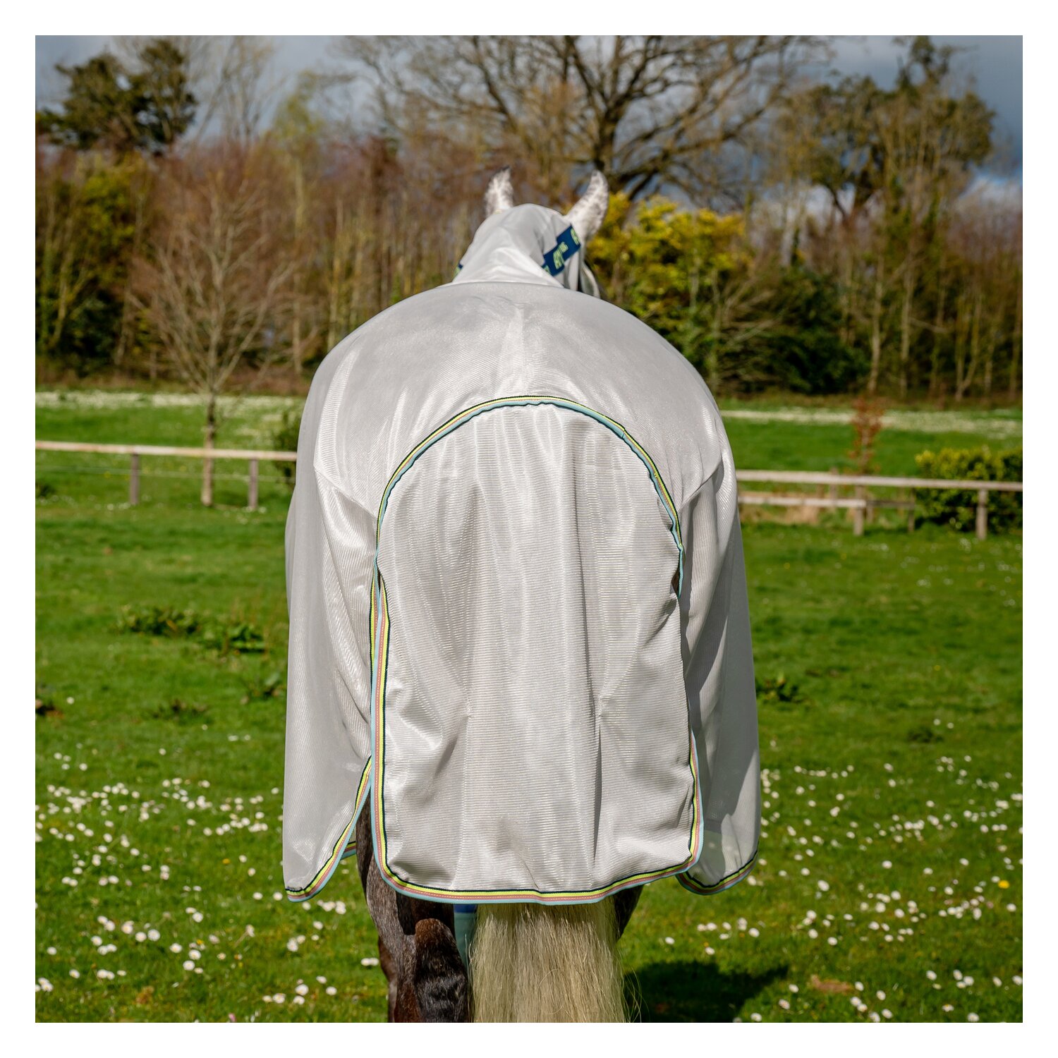 HORSEWARE Fliegendecke AMIGO Bug Rug – Ansicht 5