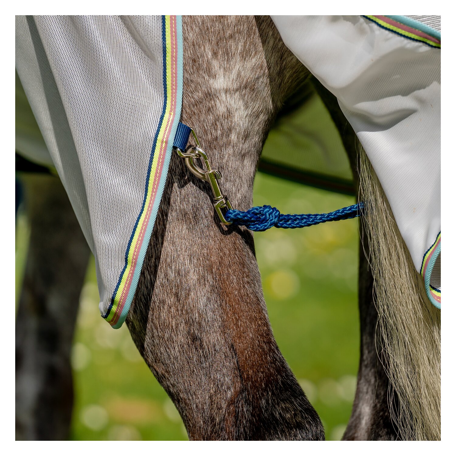 HORSEWARE Fliegendecke AMIGO Bug Rug – Ansicht 6