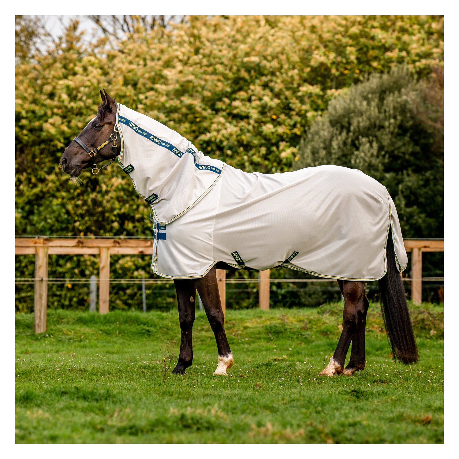 HORSEWARE Fliegendecke AMIGO Bug Rug – Ansicht 7