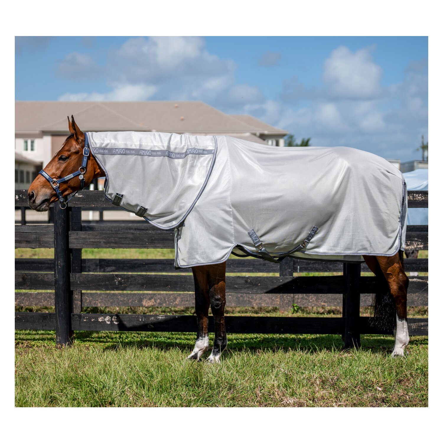 HORSEWARE Fliegendecke AMIGO Bug Rug – Ansicht 10