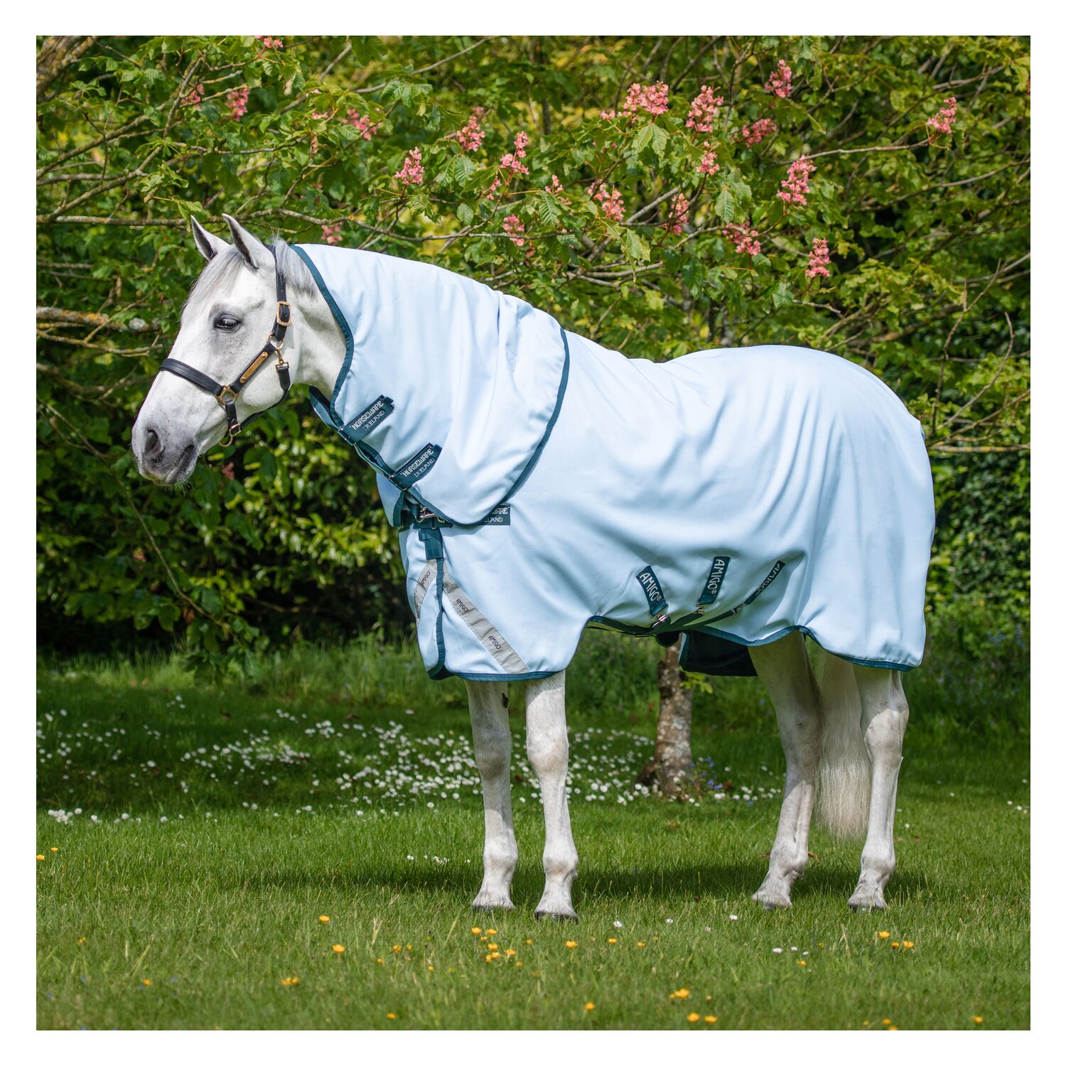 HORSEWARE Weidedecke AMIGO Plant-Dye – Ansicht 1