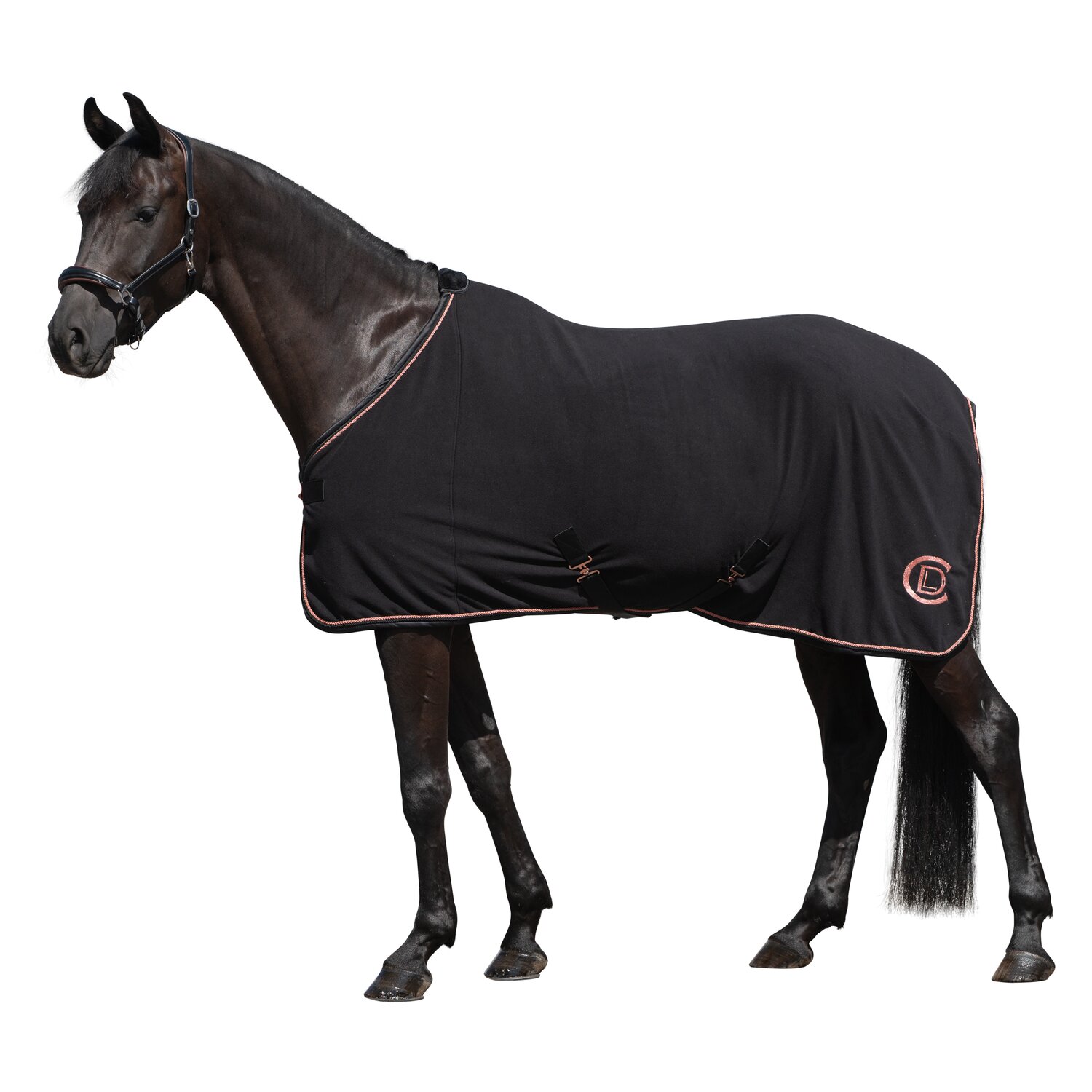 Cheval de Luxe Abschwitzdecke – Ansicht 2