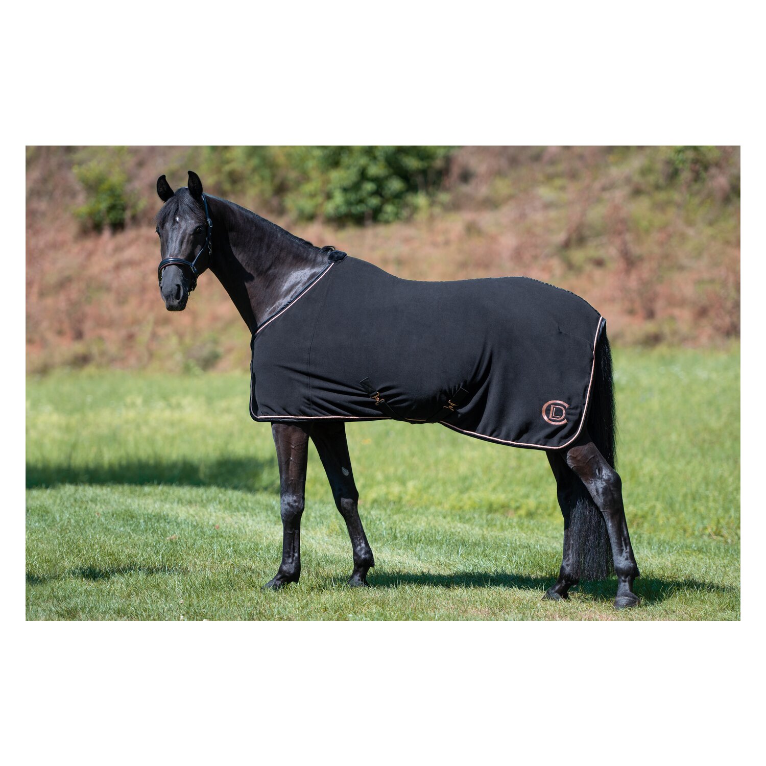 Cheval de Luxe Abschwitzdecke – Ansicht 3