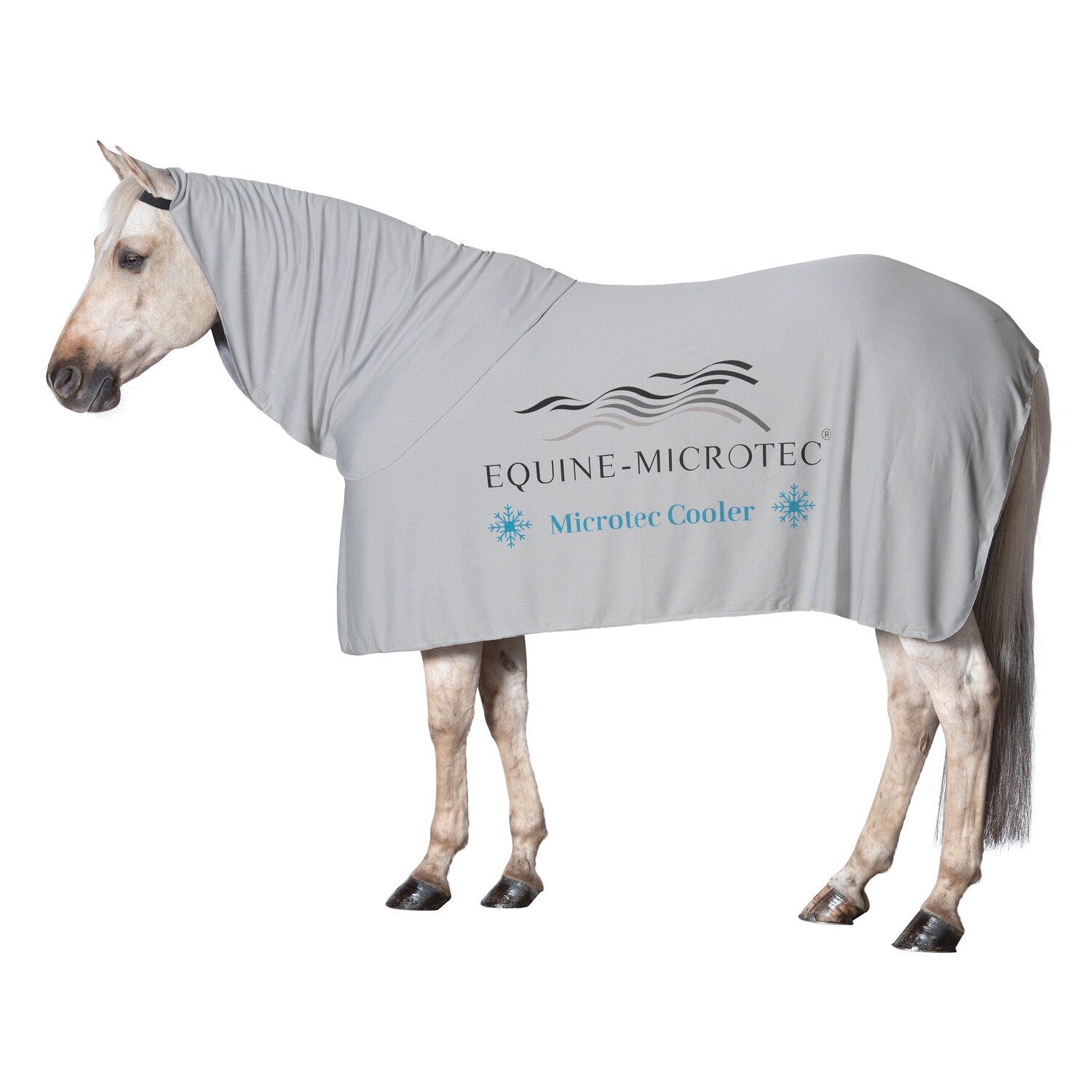 EQUINE-MICROTEC Kühldecke Microtec Cooler – Ansicht 1