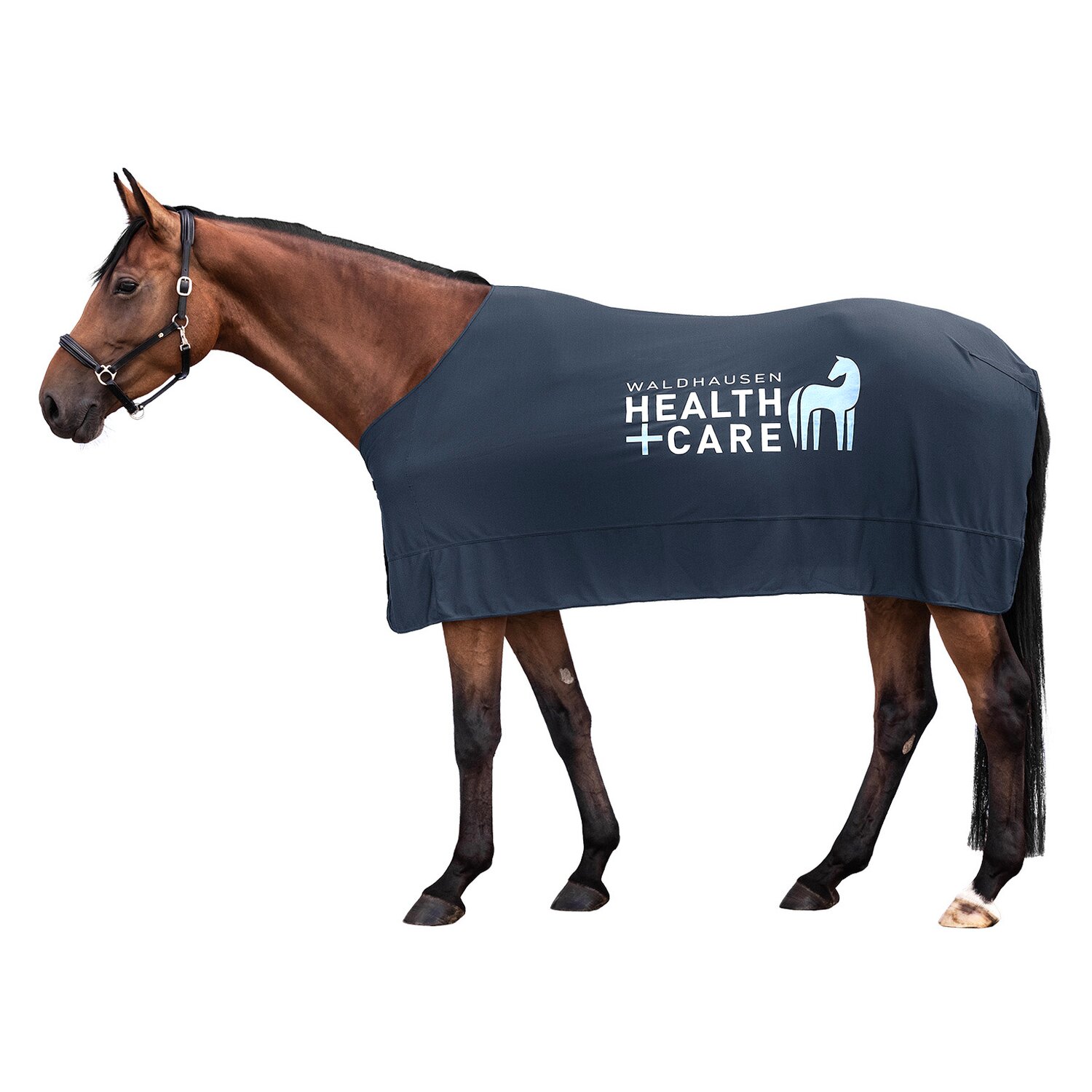 WALDHAUSEN Kühldecke W-Health & Care Ice Layer – Ansicht 1