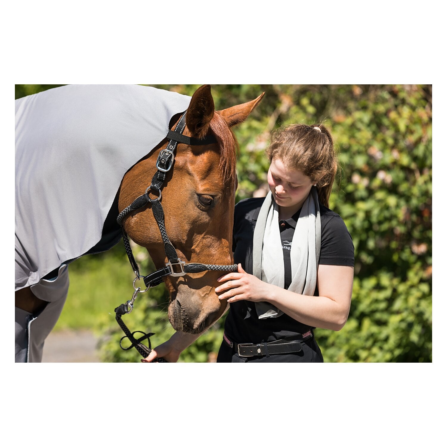 EQUINE-MICROTEC Kühlhandtücher MICROTEC COOLER mit innovativer Kühlfunktion &ndash; Ansicht 3