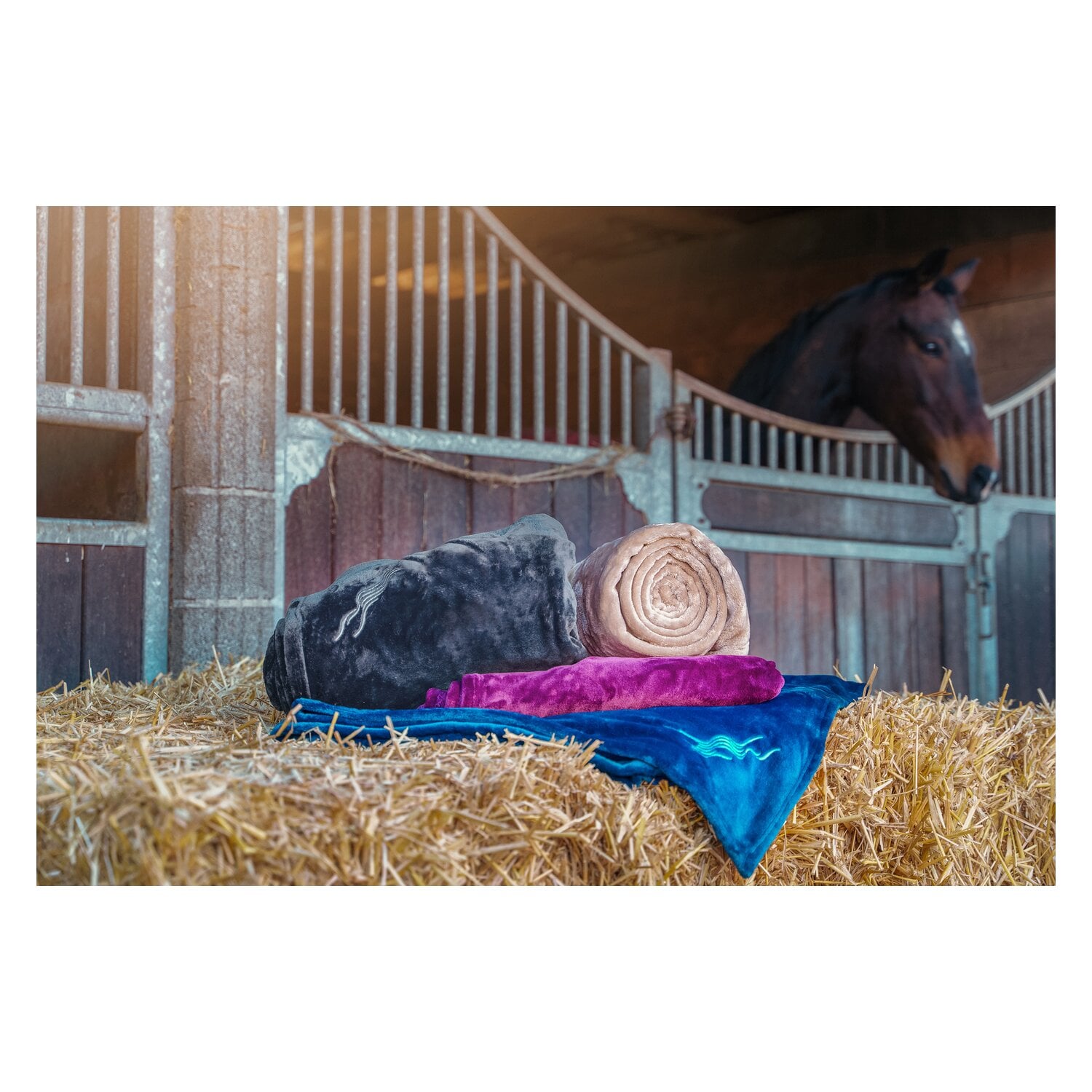 EQUINE-MICROTEC Kuscheldecke WARM UP &ndash; Ansicht 3