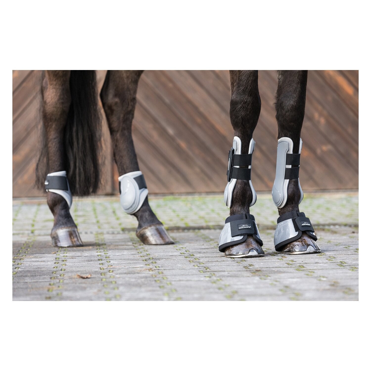 EQUINE-MICROTEC Streichkappen &ndash; Ansicht 2