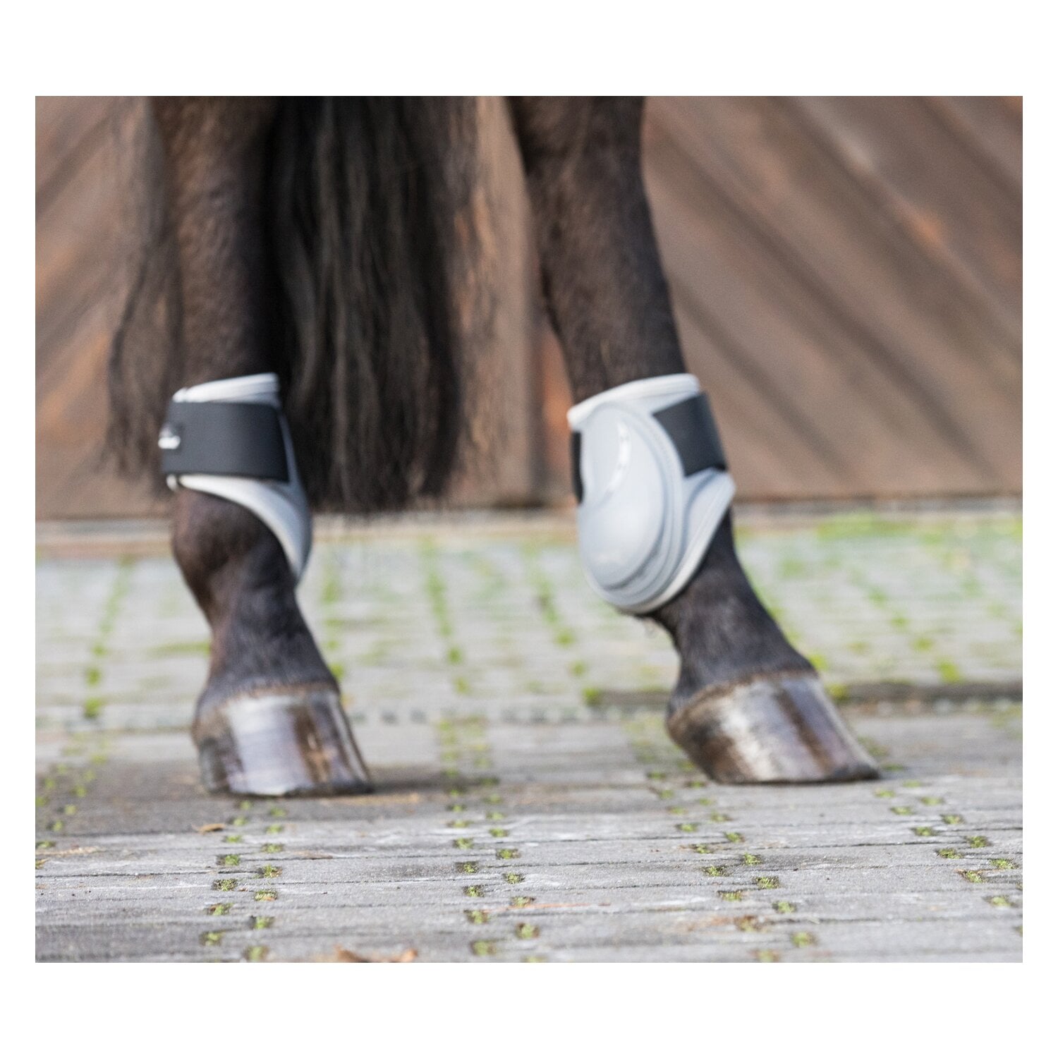 EQUINE-MICROTEC Streichkappen &ndash; Ansicht 1
