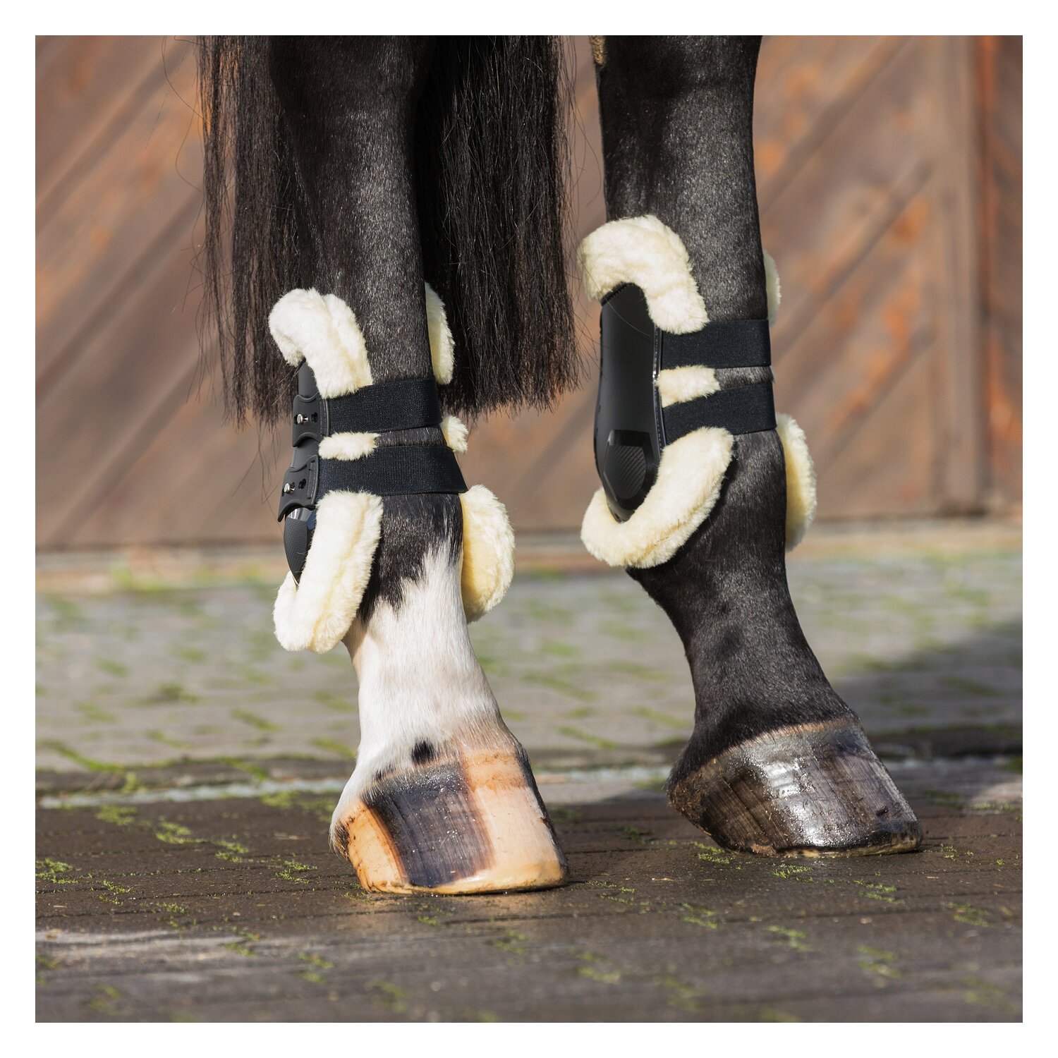EQUINE-MICROTEC Hartschalen-Streichkappen mit Kunstfell &ndash; Ansicht 1