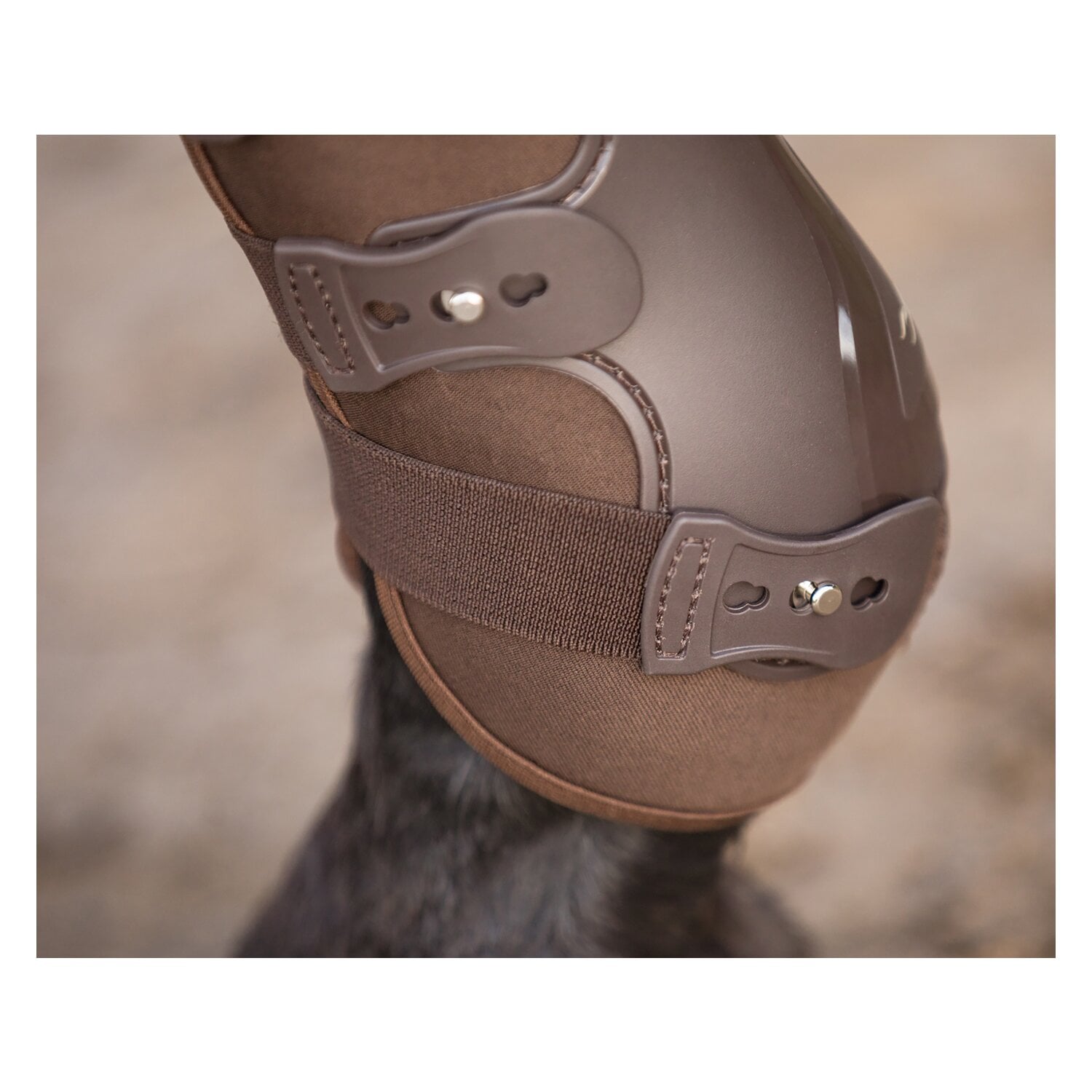EQUINE-MICROTEC Dressur- und Allroundgamaschen mit Neoprenfutter &ndash; Ansicht 2