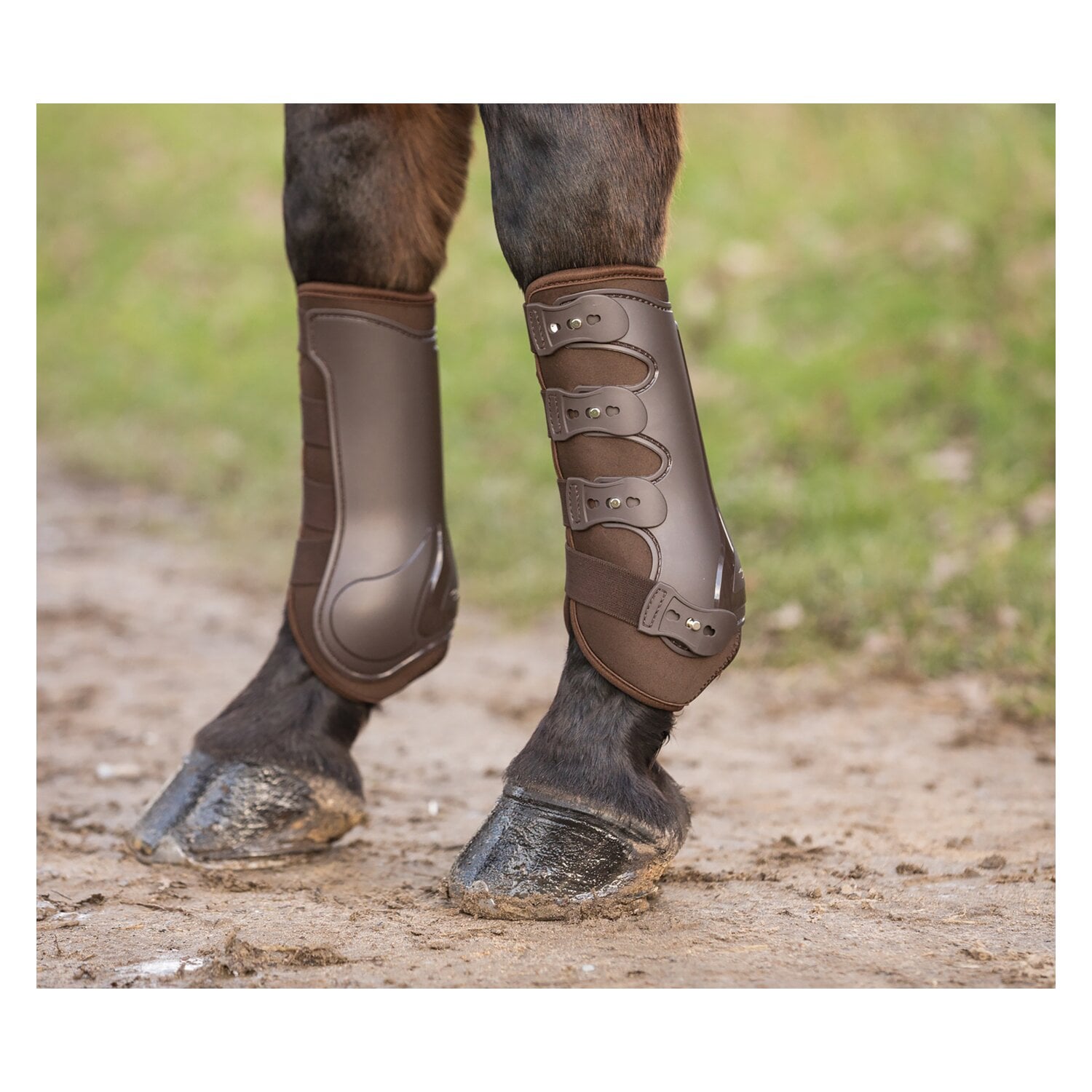 EQUINE-MICROTEC Dressur- und Allroundgamaschen mit Neoprenfutter &ndash; Ansicht 1