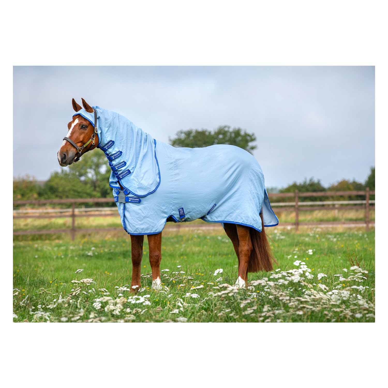 HORSEWARE Fliegendecke AMIGO Ripstop Hoody – Ansicht 1