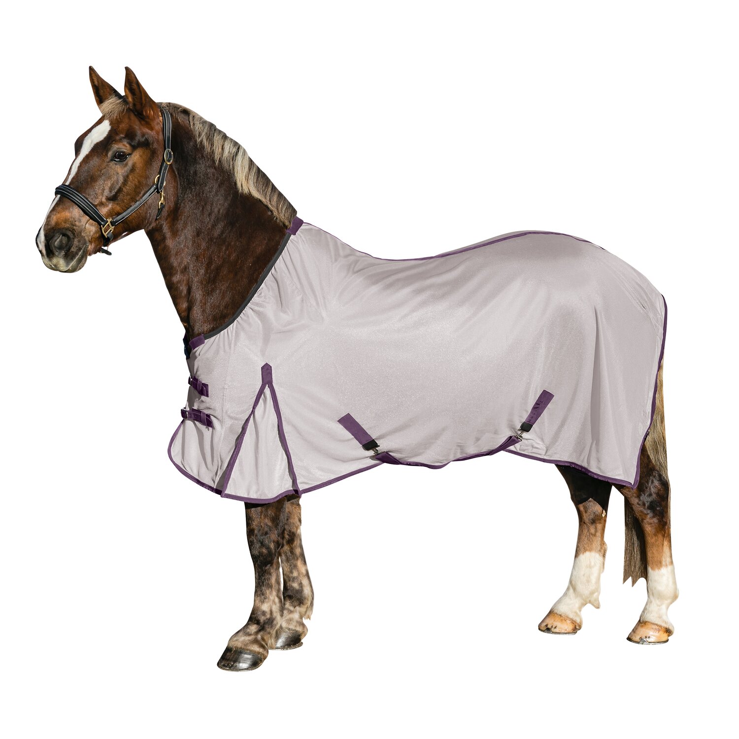 Horse-friends Fliegendecke XL – Ansicht 1