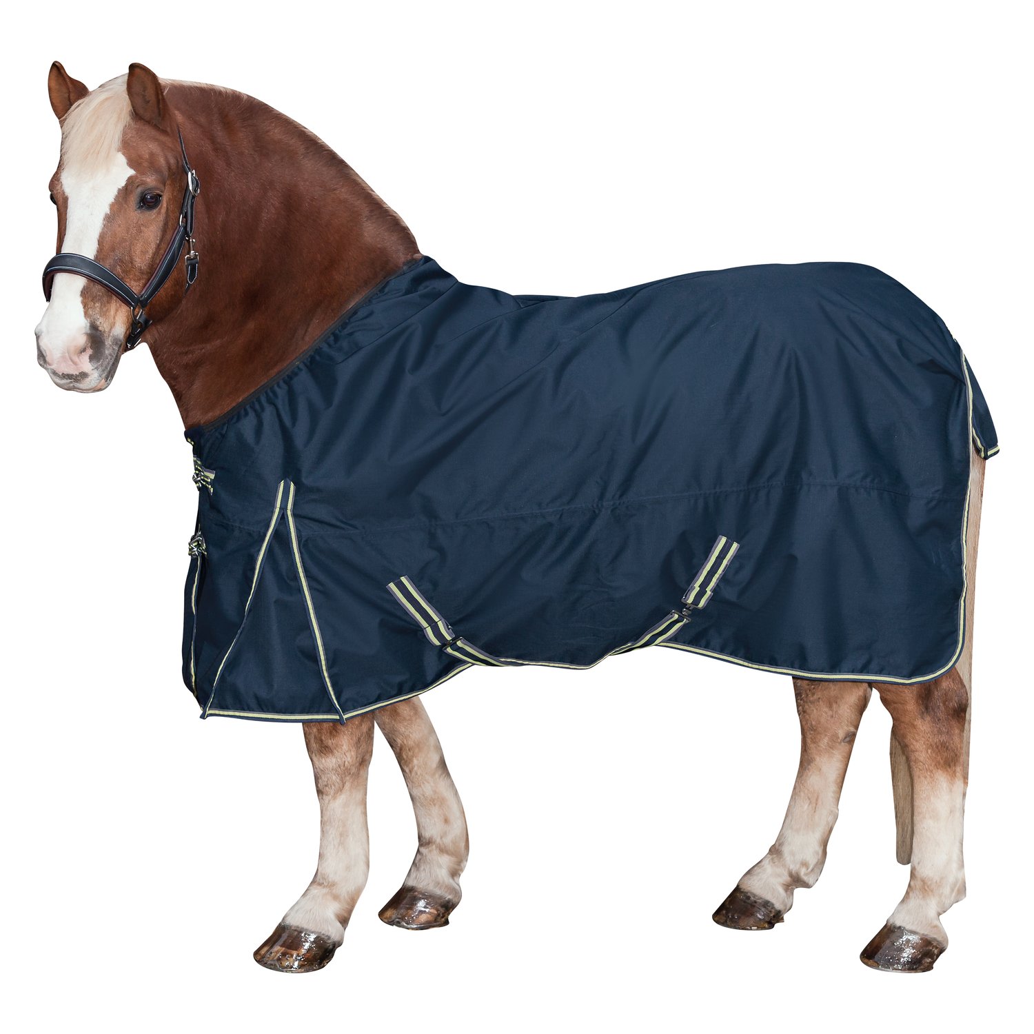Horse-friends Outdoordecke XL – Ansicht 1